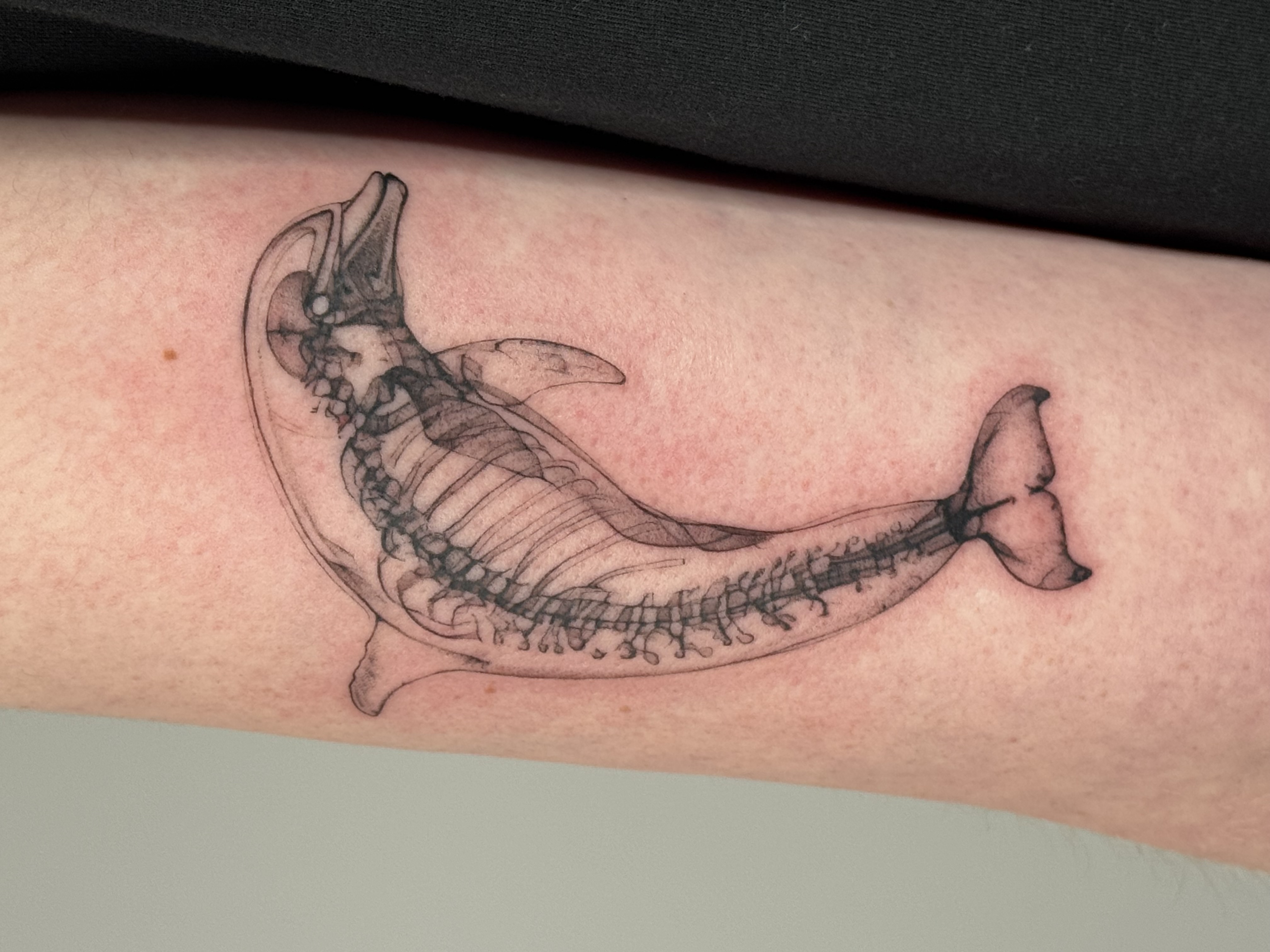 X-Ray Delfin Wanna Do Tattoo on Upper Arm by launau.tattoo | tathood