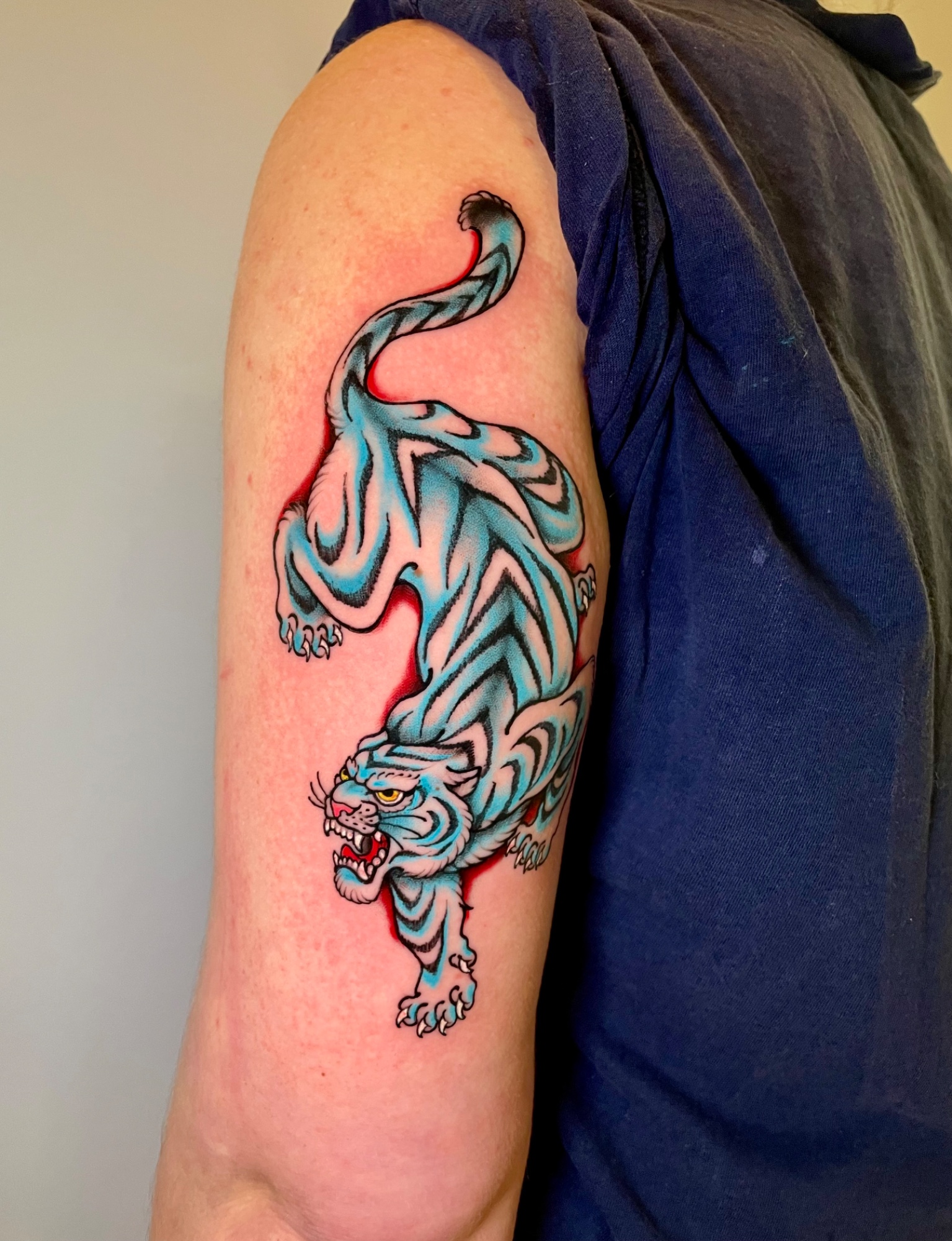 Blue tiger