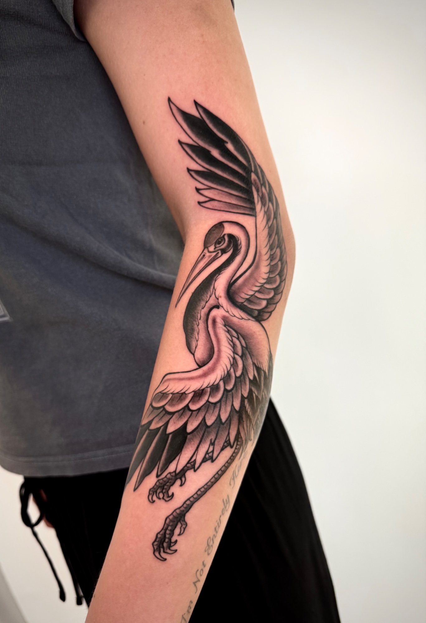 Japanese Crane