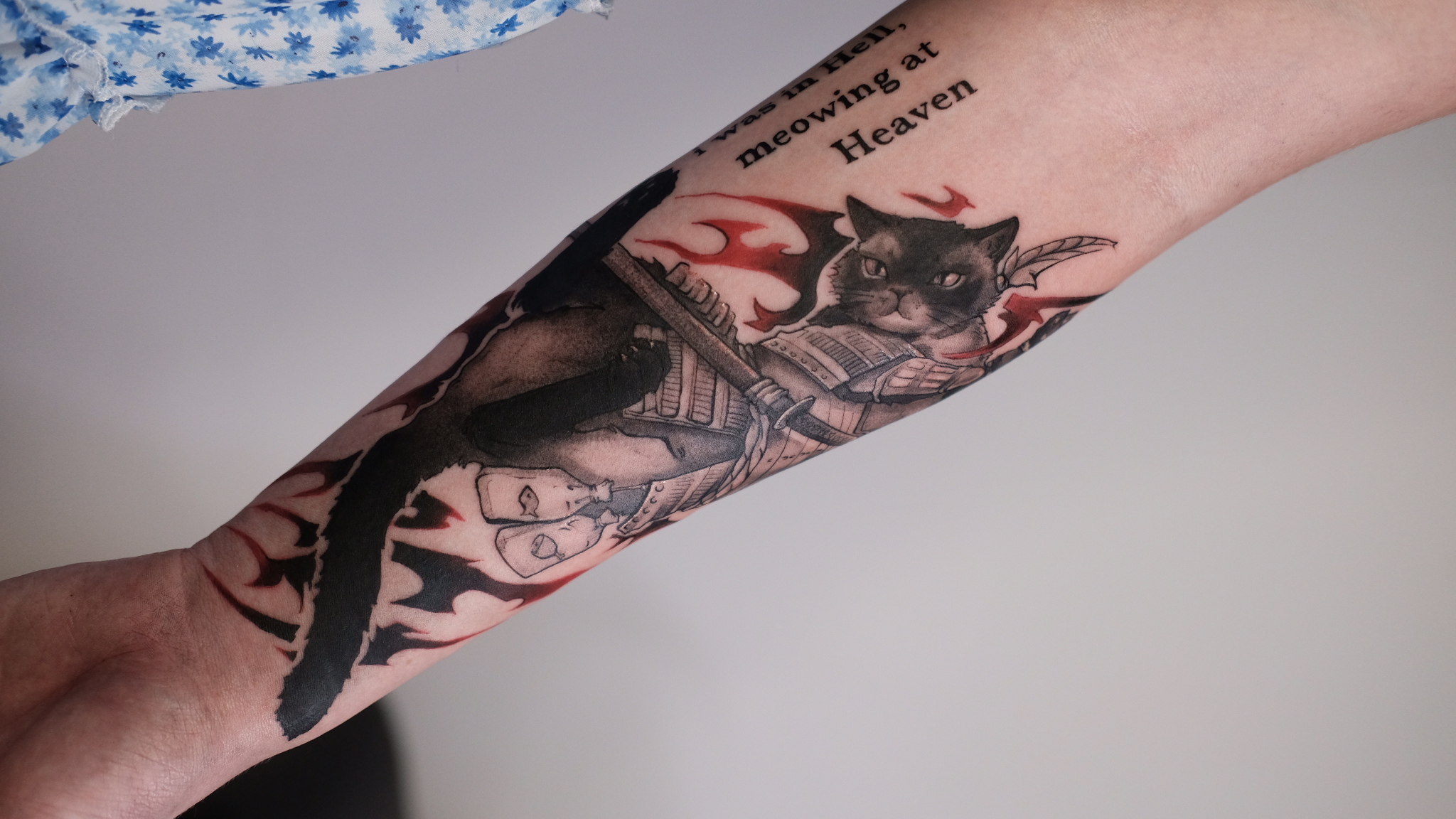 Cat - samurai