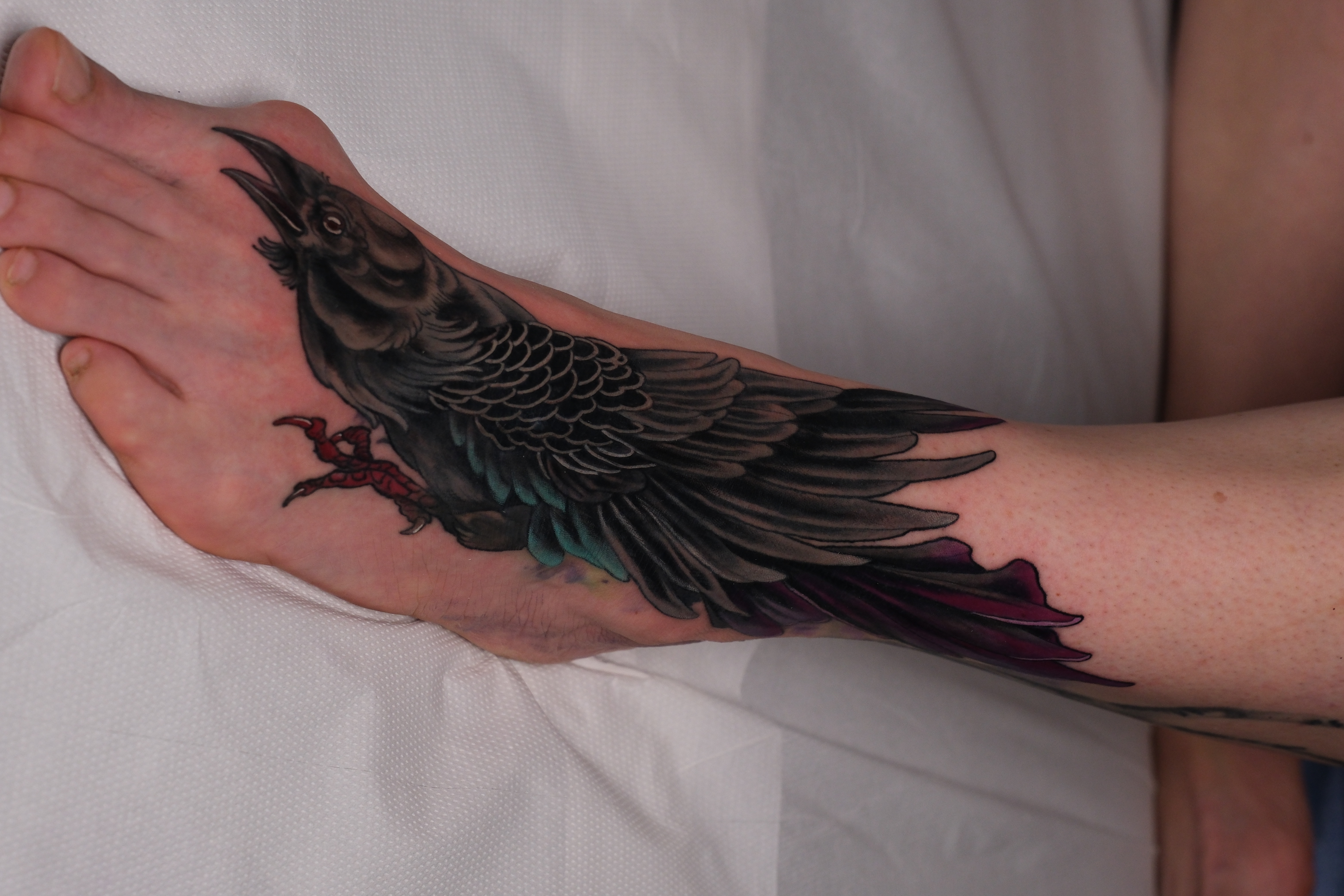 Krähe Cover-Up