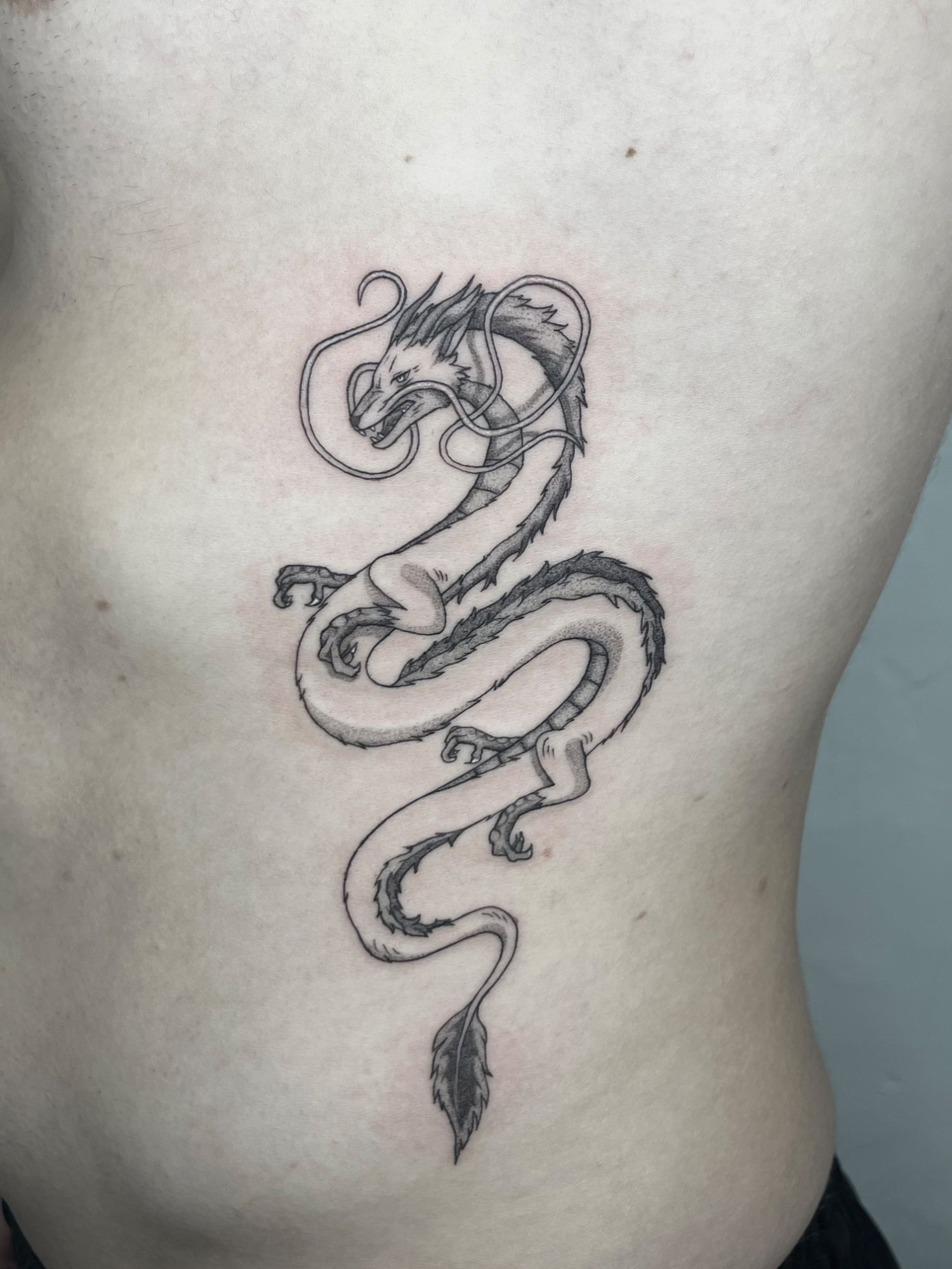 Haku Drache in Anime style on Ribs by ink.ria Leipzig