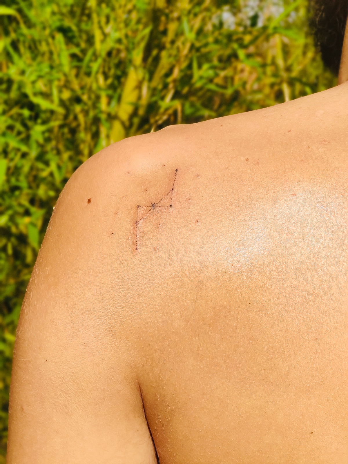 Starsign hidden meaning in Dotwork style on Shoulder by Haneliko Augsburg