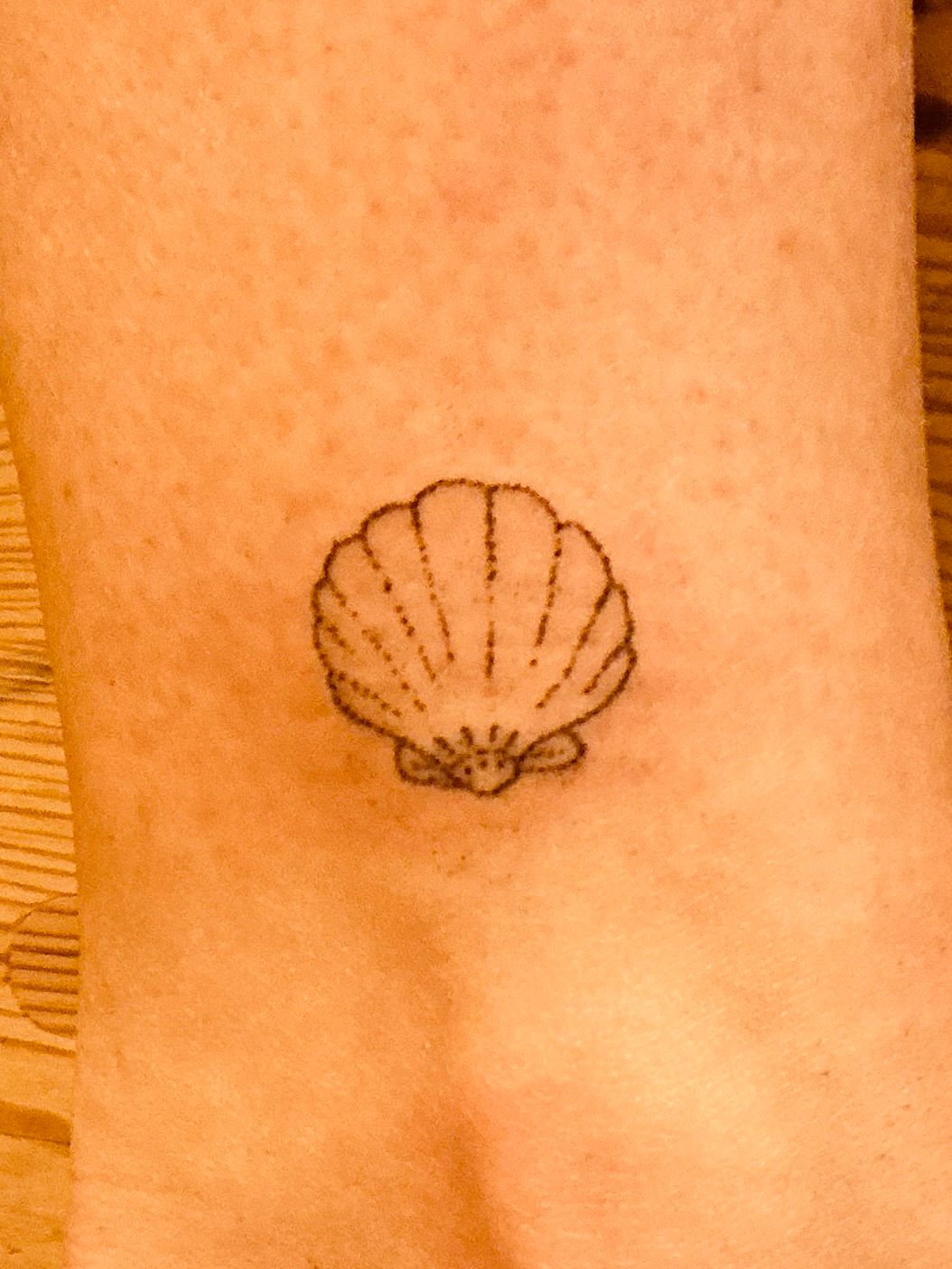 Tiny mandala shell | fineline im Dotwork Style auf Knöchel von Tatatat in Augsburg
