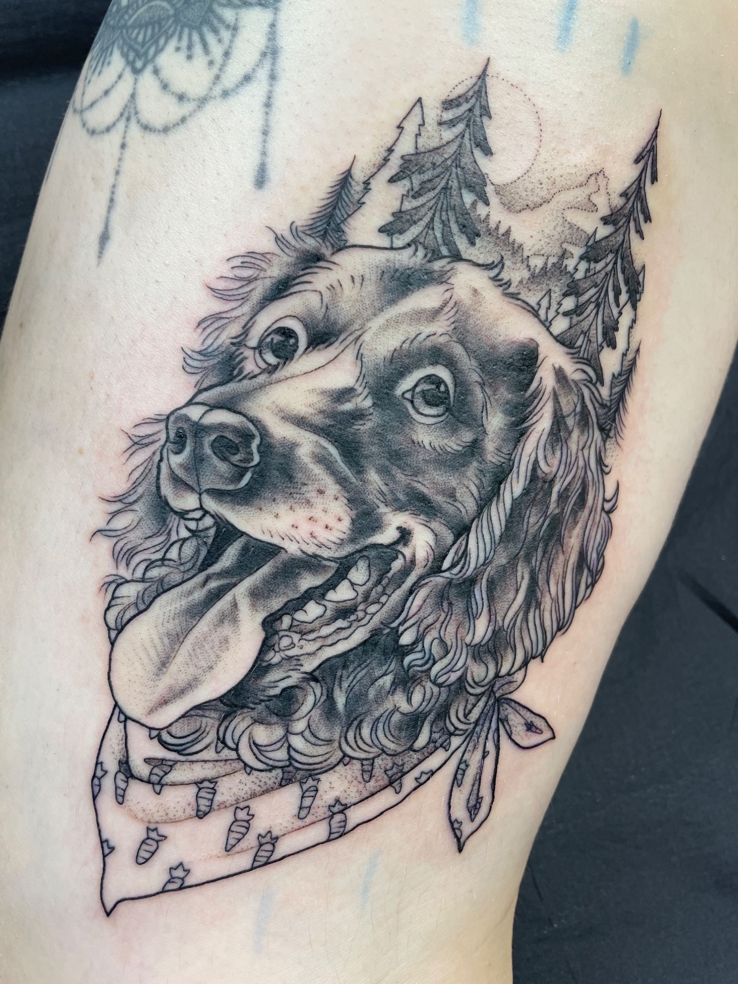 Hund im Illustrative Style auf Oberschenkel von Kristin Schubert in München