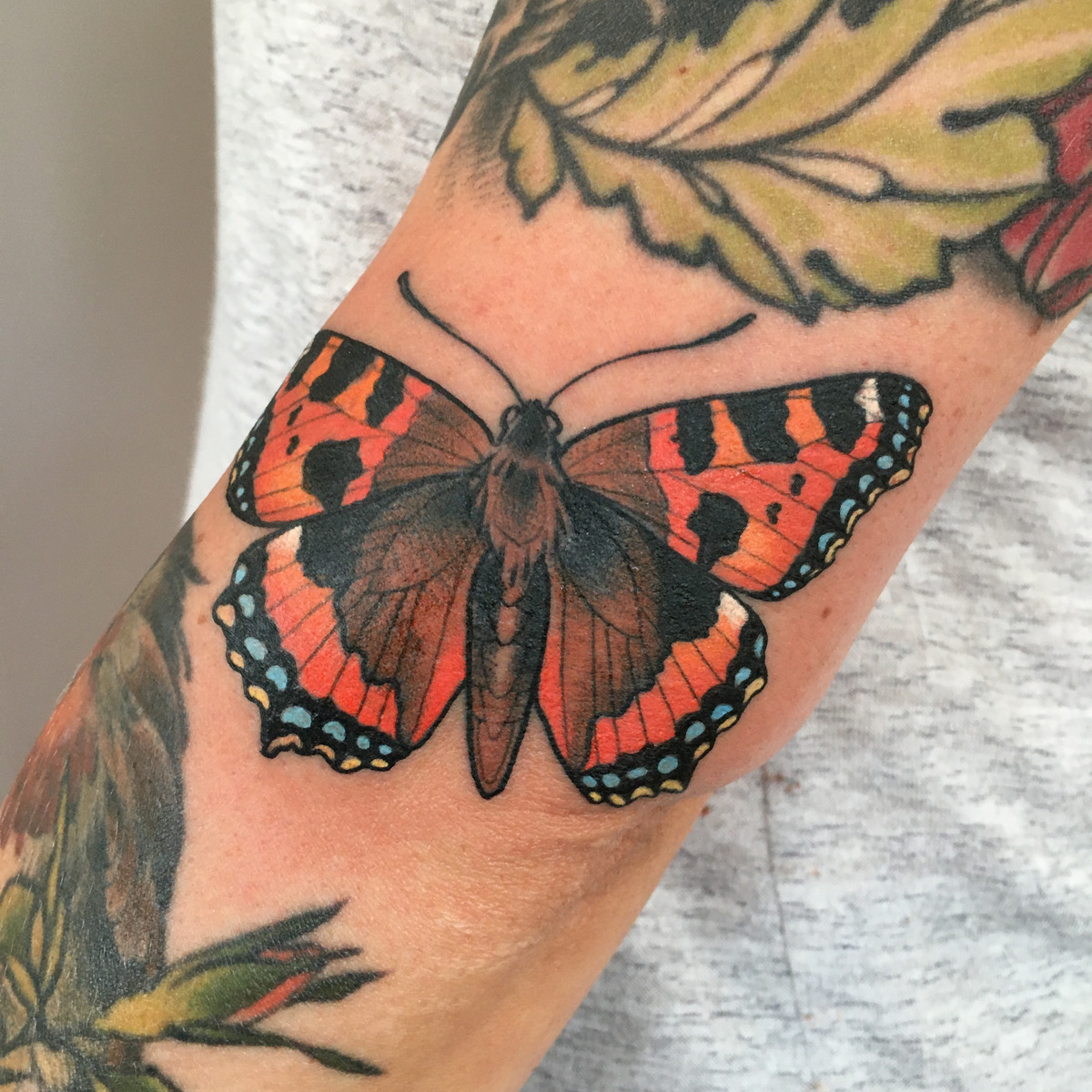Schmetterling in Illustrative style on Forearm by Kristin Schubert München