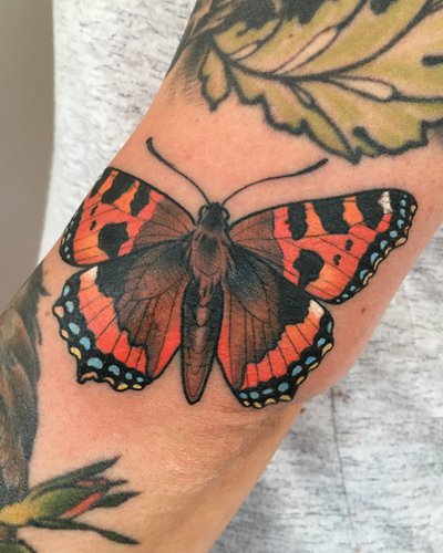 Schmetterling im Illustrative Style auf Unterarm von SEHR nice Tattoo in München