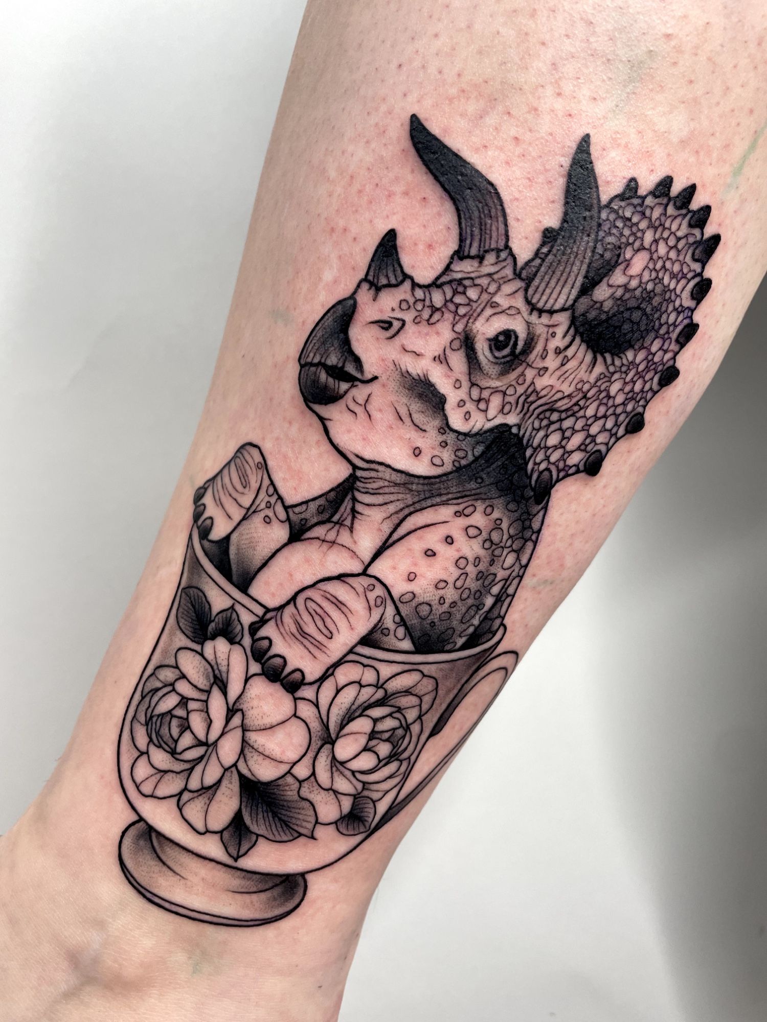 Teazeratops im Illustrative Style von Kristin Schubert in München