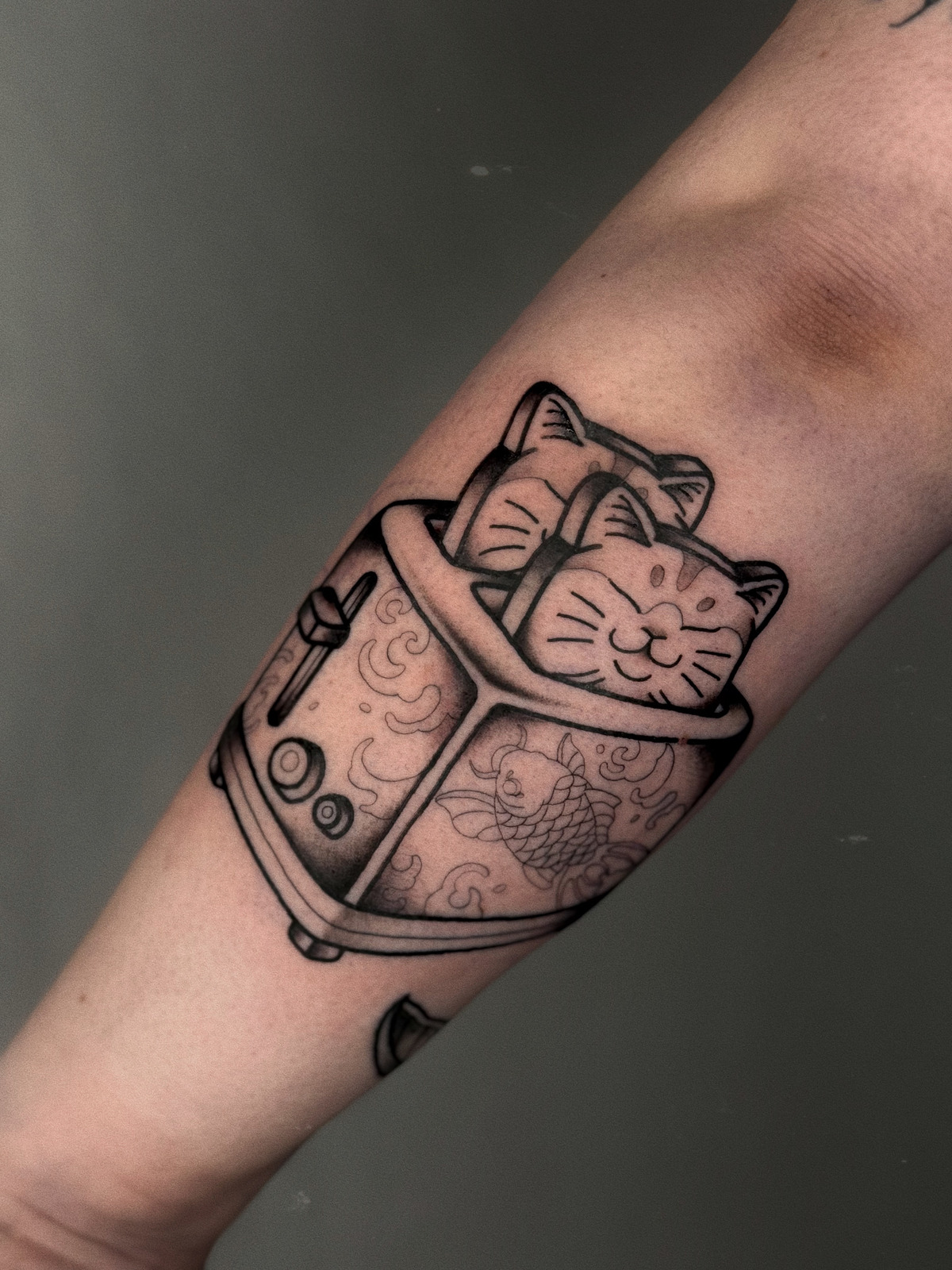 Cat toast im Oldschool, Traditional Style auf Unterarm von Hase Pfeffer Tattoo in Magdeburg