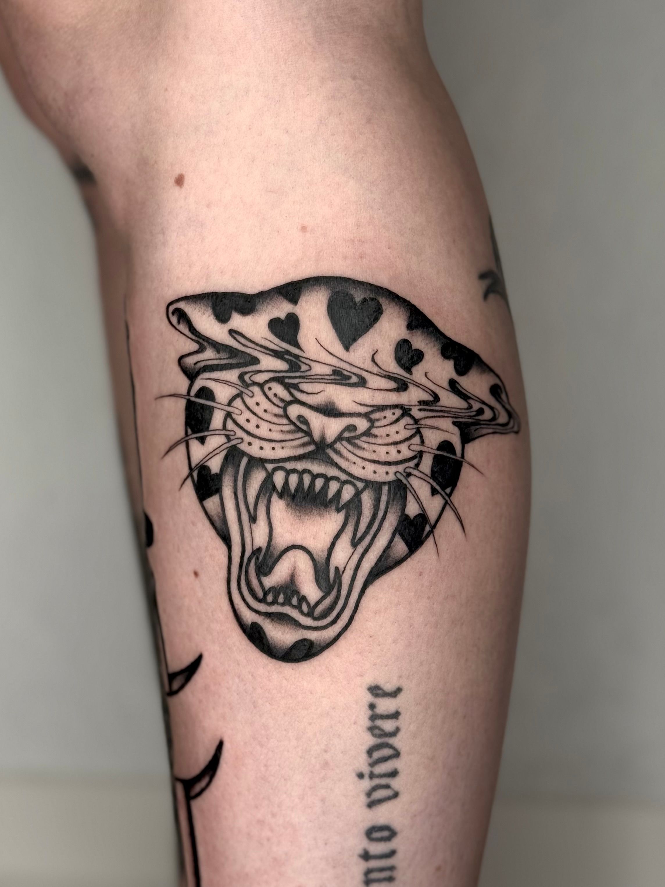 Leopard im Oldschool, Traditional Style auf Bein von Hase Pfeffer Tattoo in Magdeburg