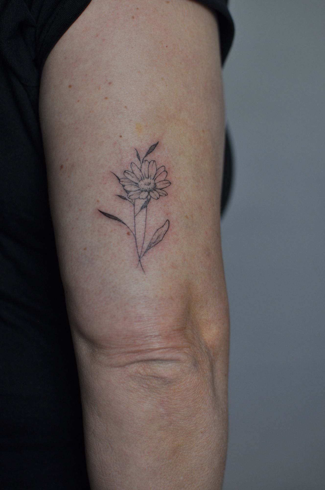 Custom flower / Daisy im Fineline Style auf Oberarm von Mariel Mandarin in Leipzig