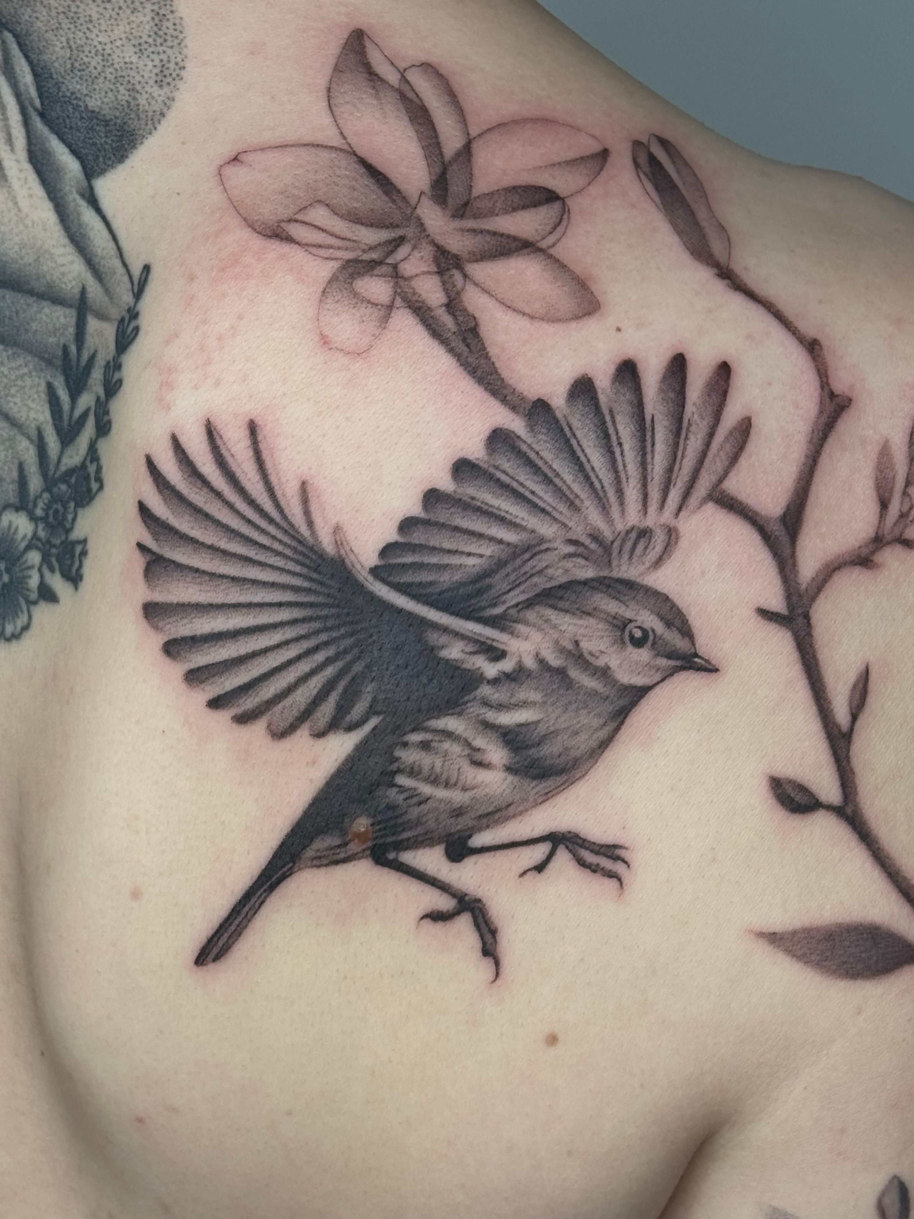 Custom Bird im Black & Gray Style auf Schulter von launau.tattoo in Leipzig