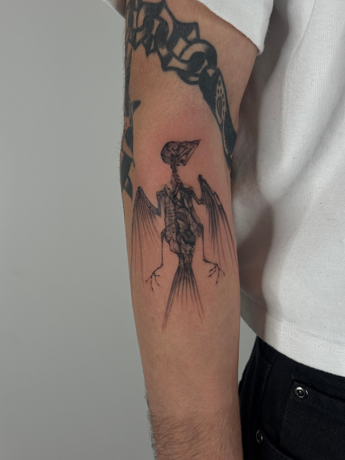 X-Ray Bird Wanna Do in Black & Gray style on Forearm by launau.tattoo Leipzig
