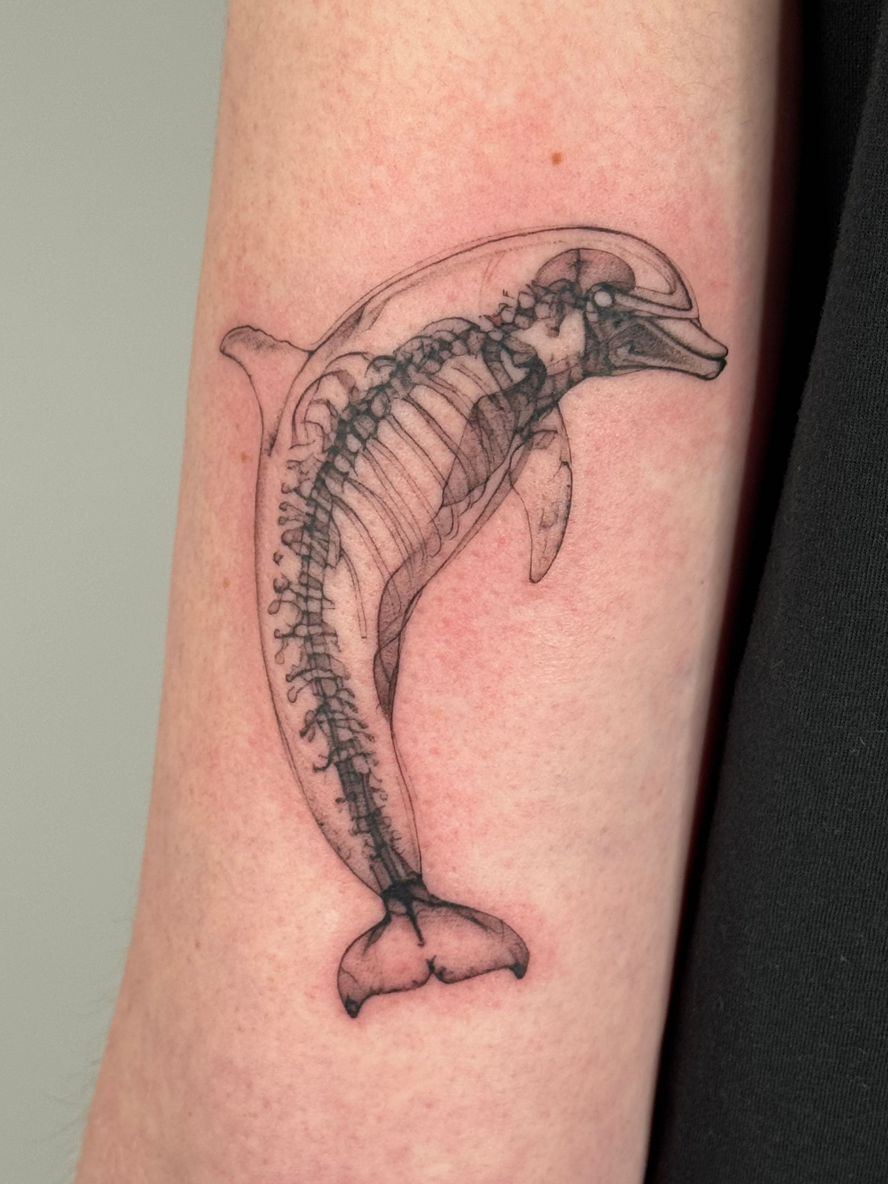 X-Ray Delfin Wanna Do im Black & Gray Style auf Oberarm von launau.tattoo in Leipzig