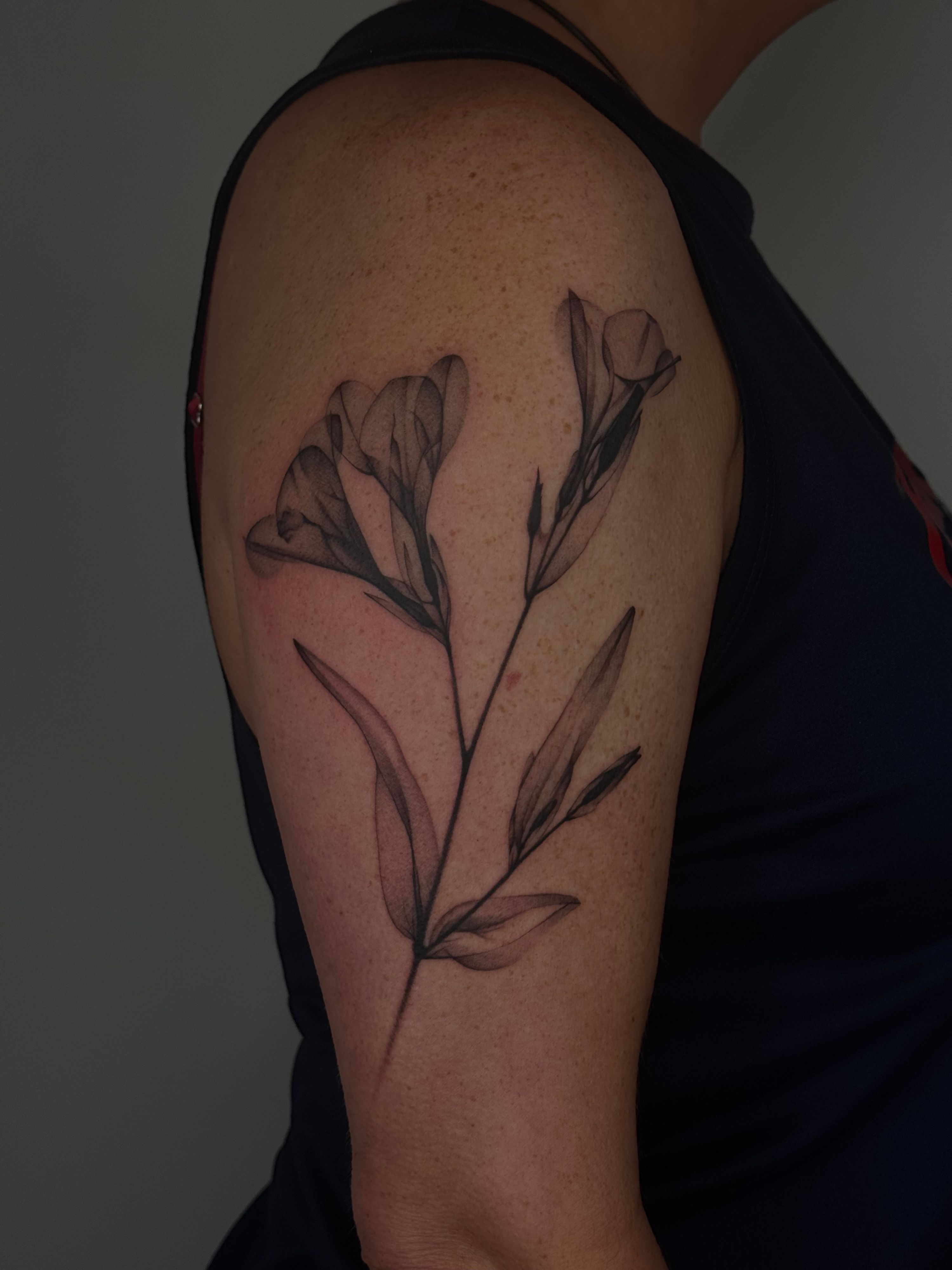 X-Ray Freesia Wanna Do im Black & Gray Style auf Oberarm von launau.tattoo in Leipzig