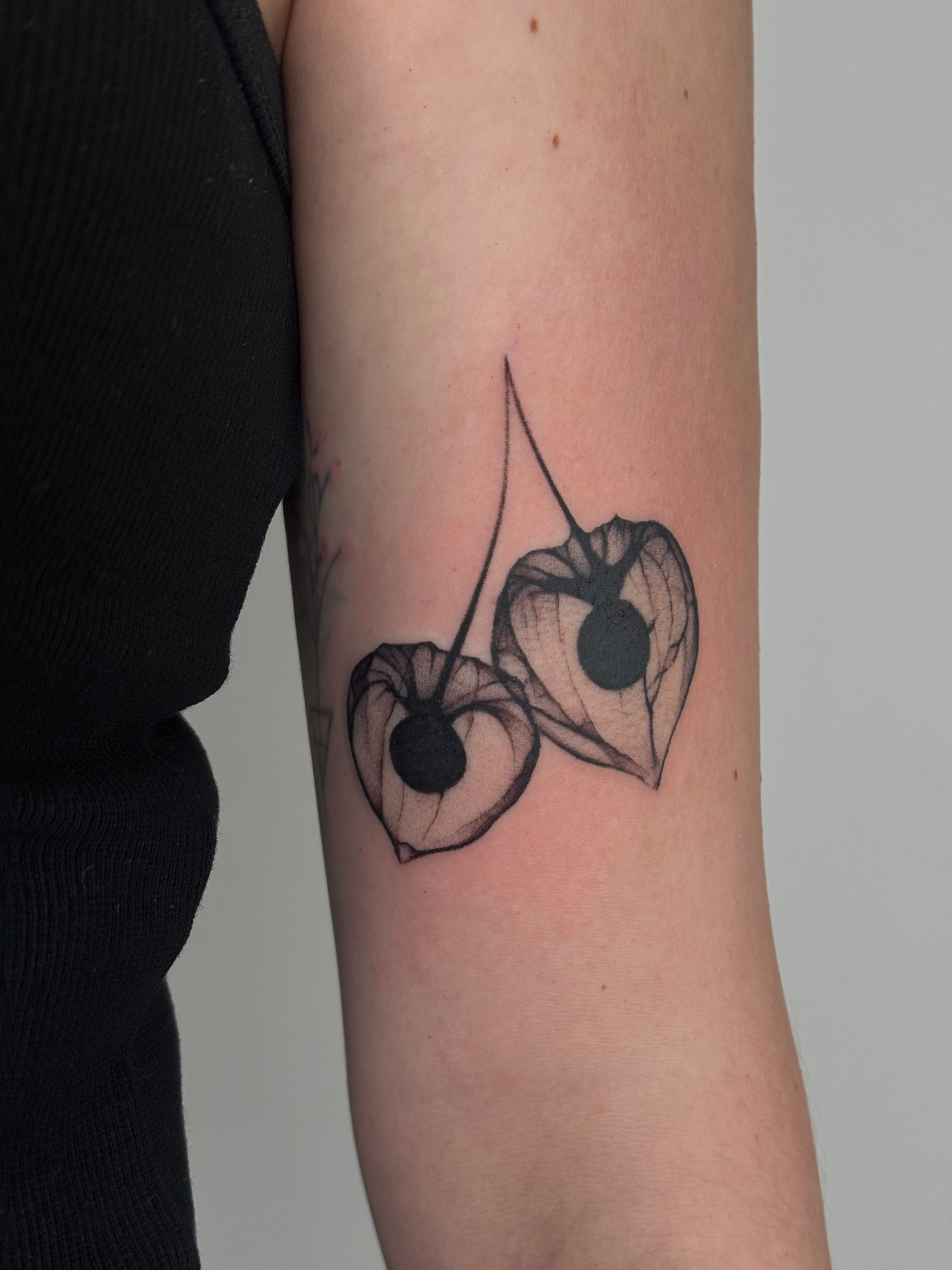 X-Ray Lampionblume Wanna Do im Black & Gray Style auf Oberarm von launau.tattoo in Leipzig