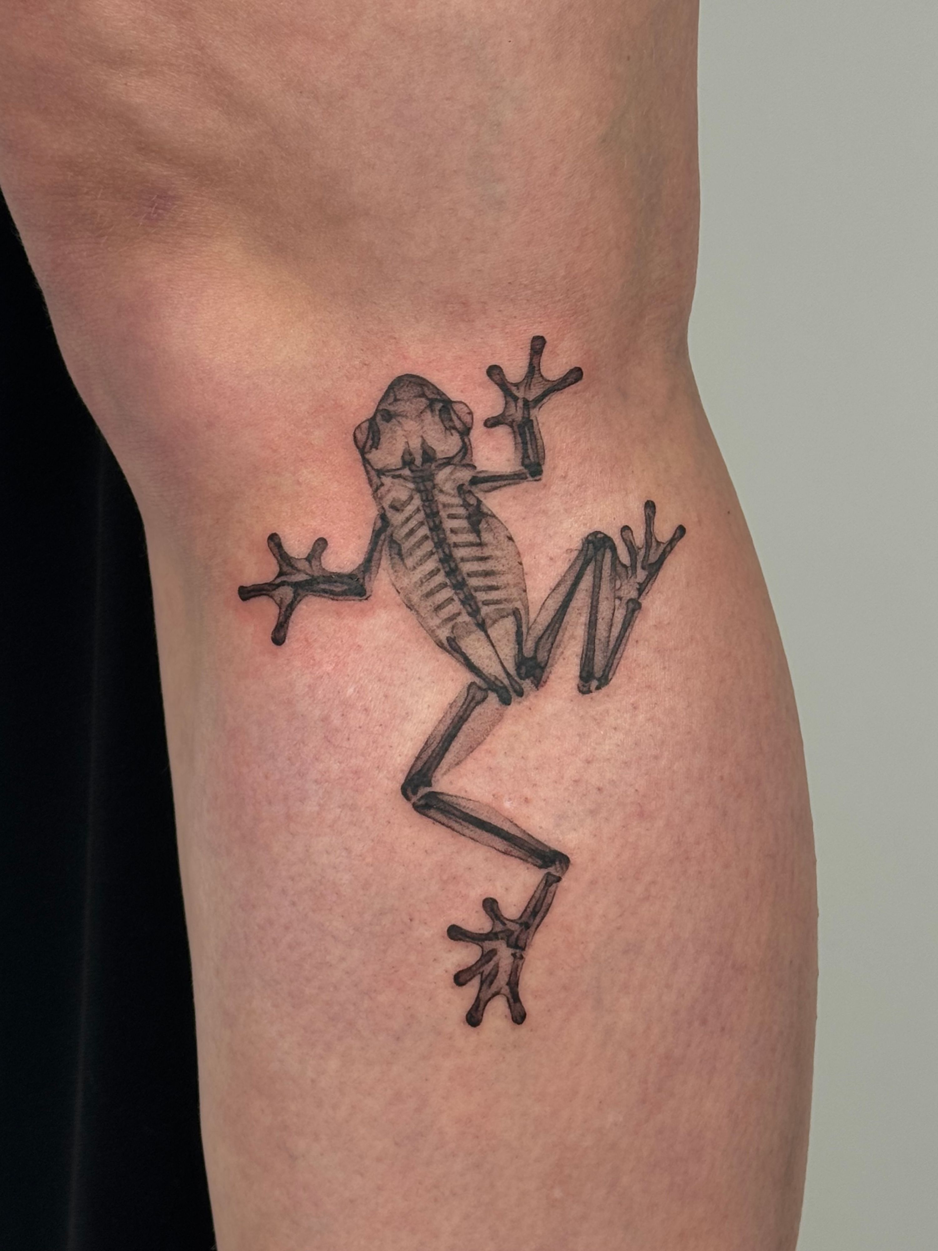 Custom X-Ray Frog 🐸 im Style auf Bein von launau.tattoo in Leipzig