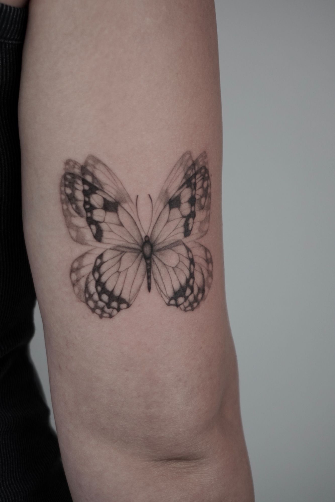 Schmetterling im Black & Gray Style auf Oberarm von Atelier Flux in Leipzig
