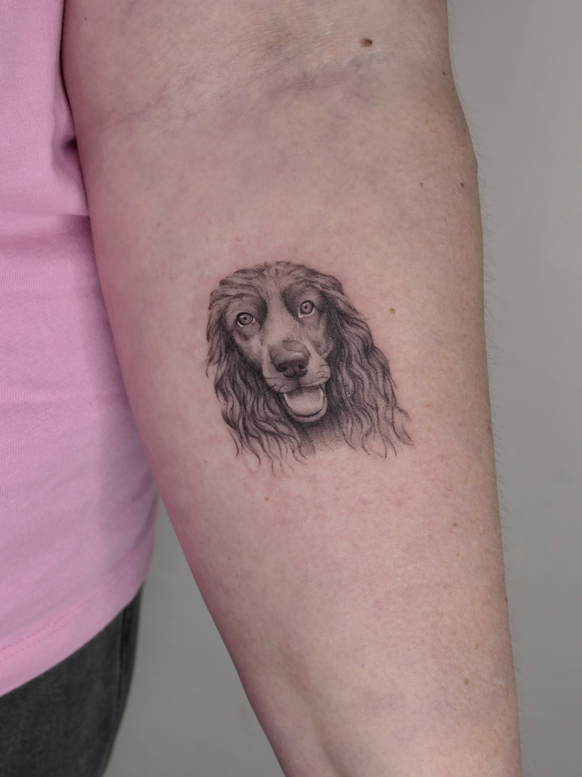 Hund Porträt im Microrealistic Style auf Unterarm von valure.tattoo in Leipzig