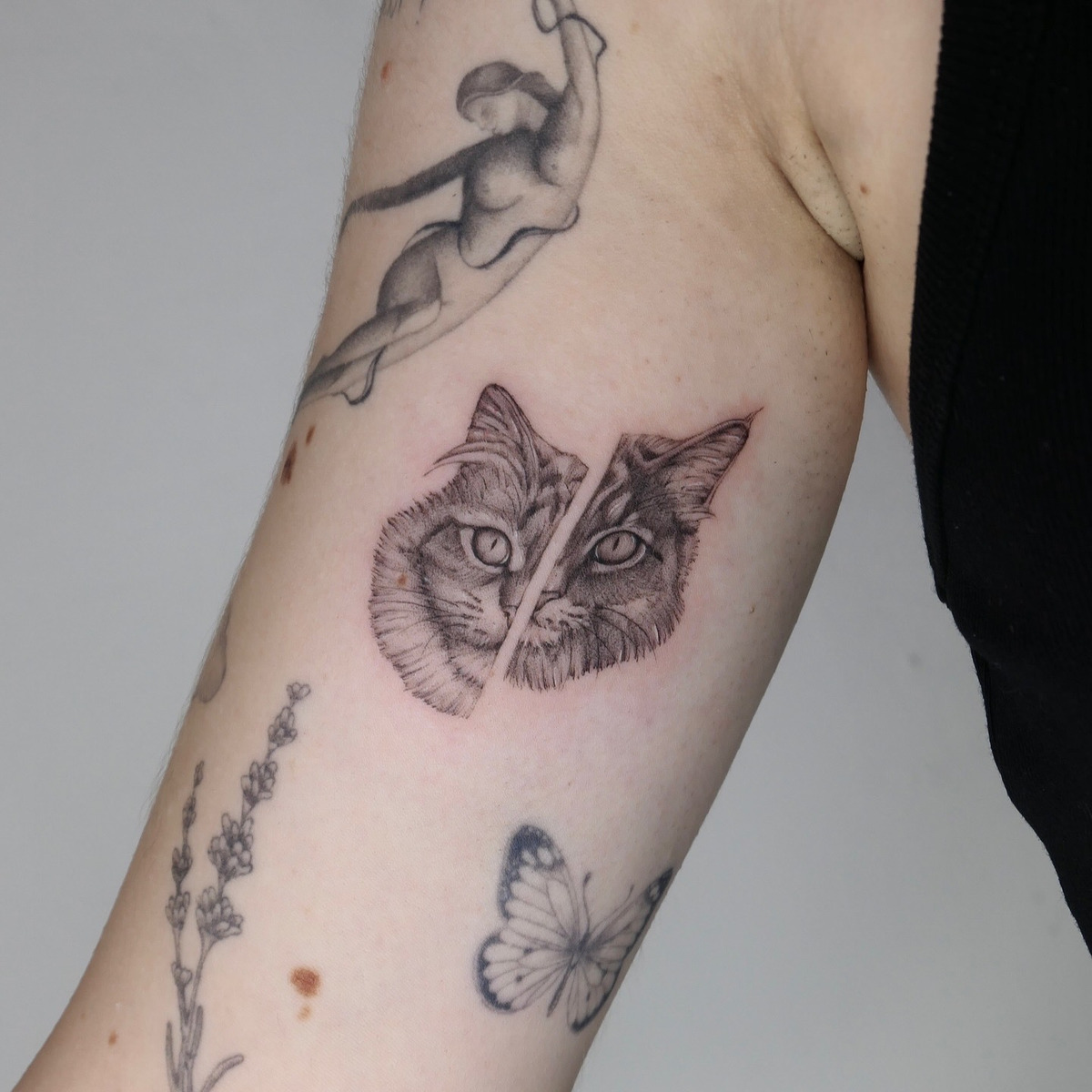 Katzen Portrait im Microrealistic Style auf Oberarm von valure.tattoo in Leipzig