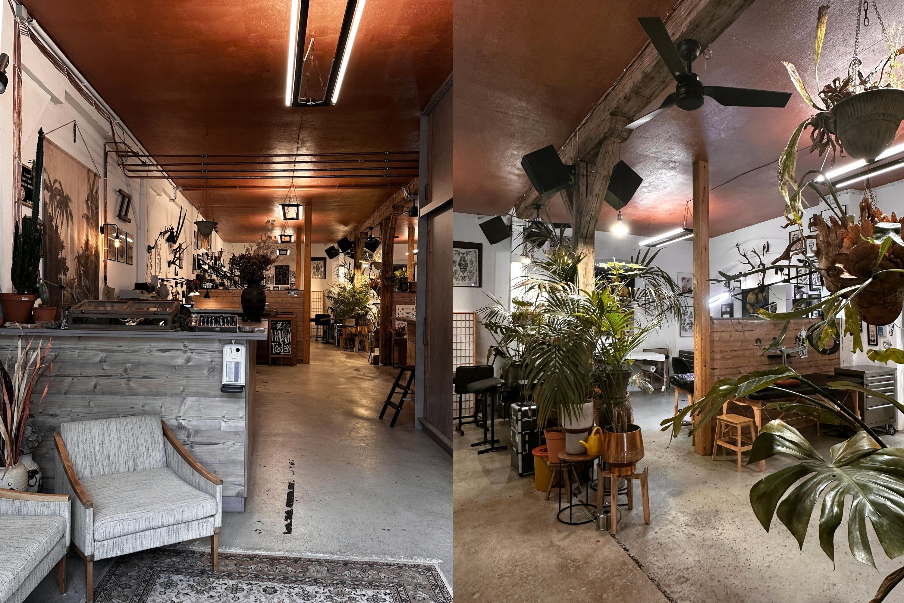 Studio Foto - Salomon