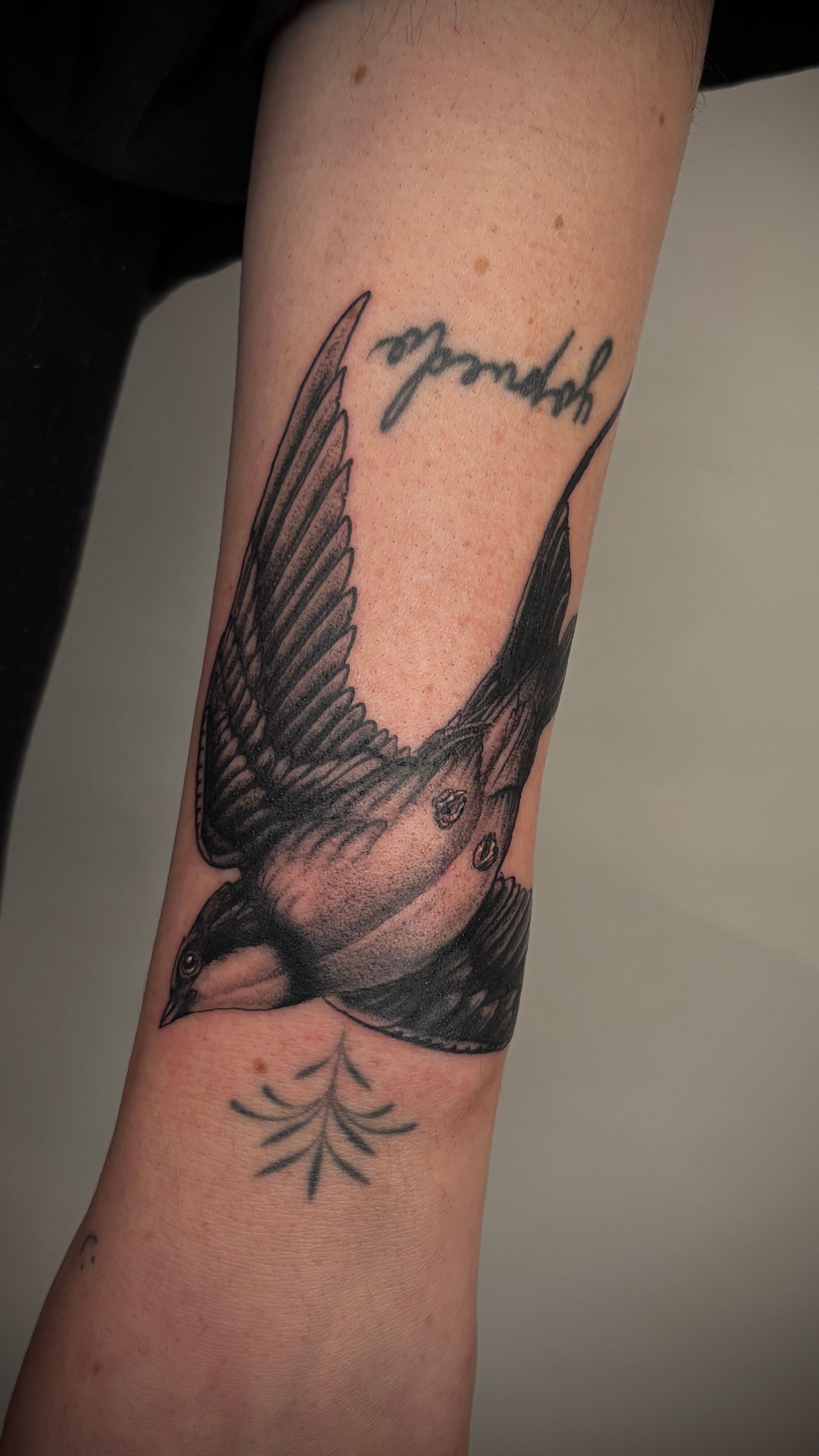 Schwalbe Unterarm im Blackwork Style auf von Salomon in 28203