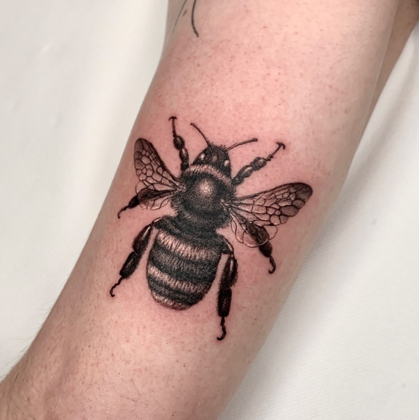 Biene im Dotwork Style auf Oberarm von Salomon in 28203