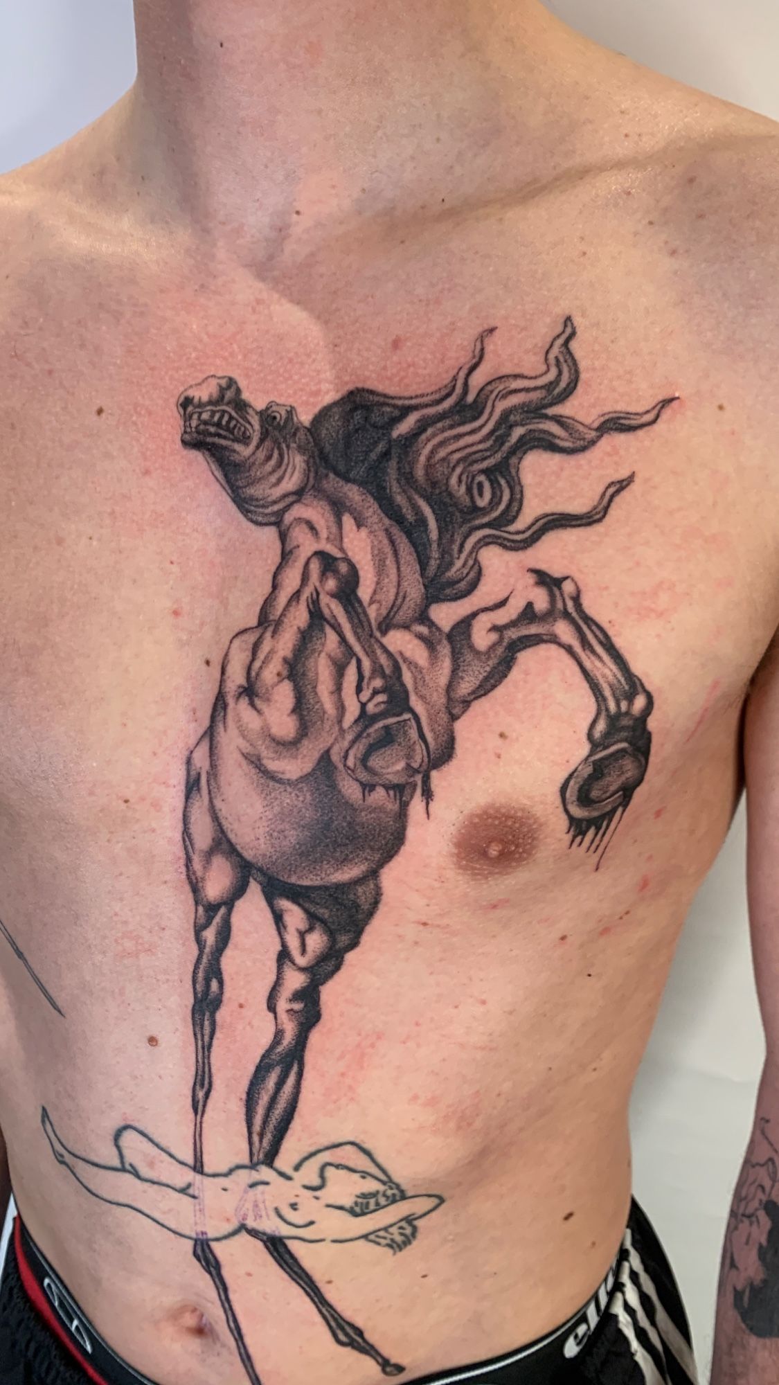 Dali Pferd im Dotwork Style auf Bauch von Salomon in 28203