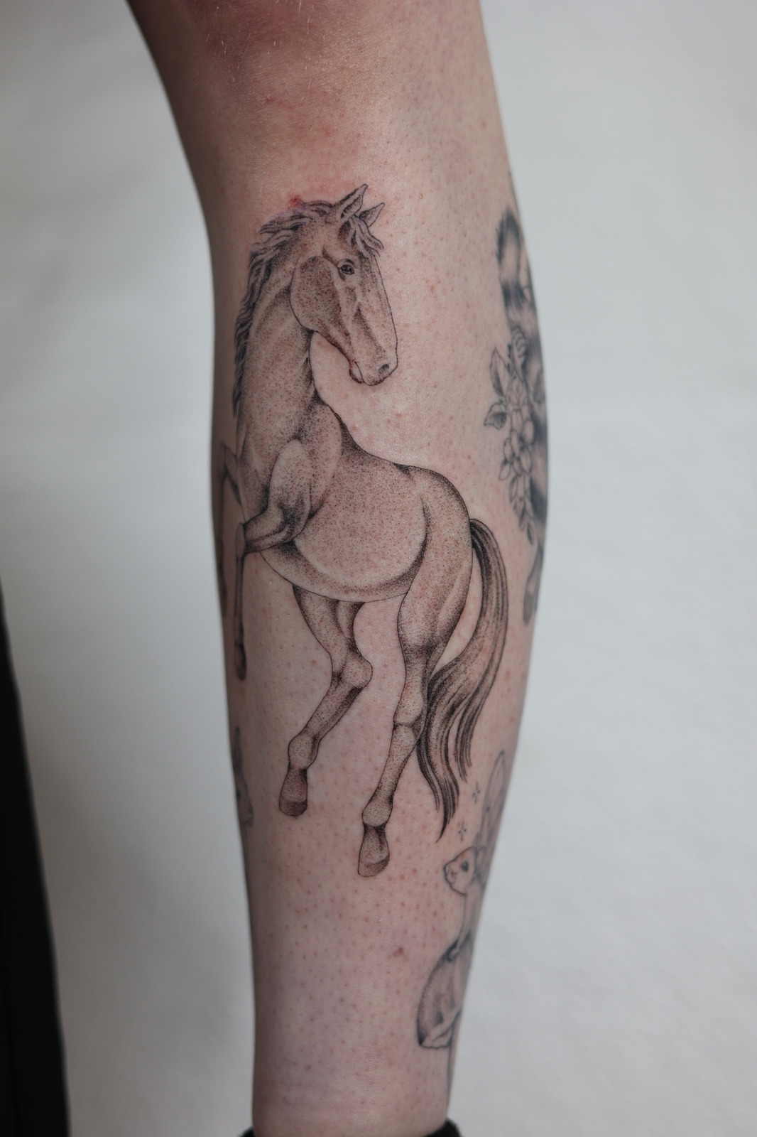 Pferd Tattoo im Black & Gray Style auf Schienbein von Patimonstar in Hamburg
