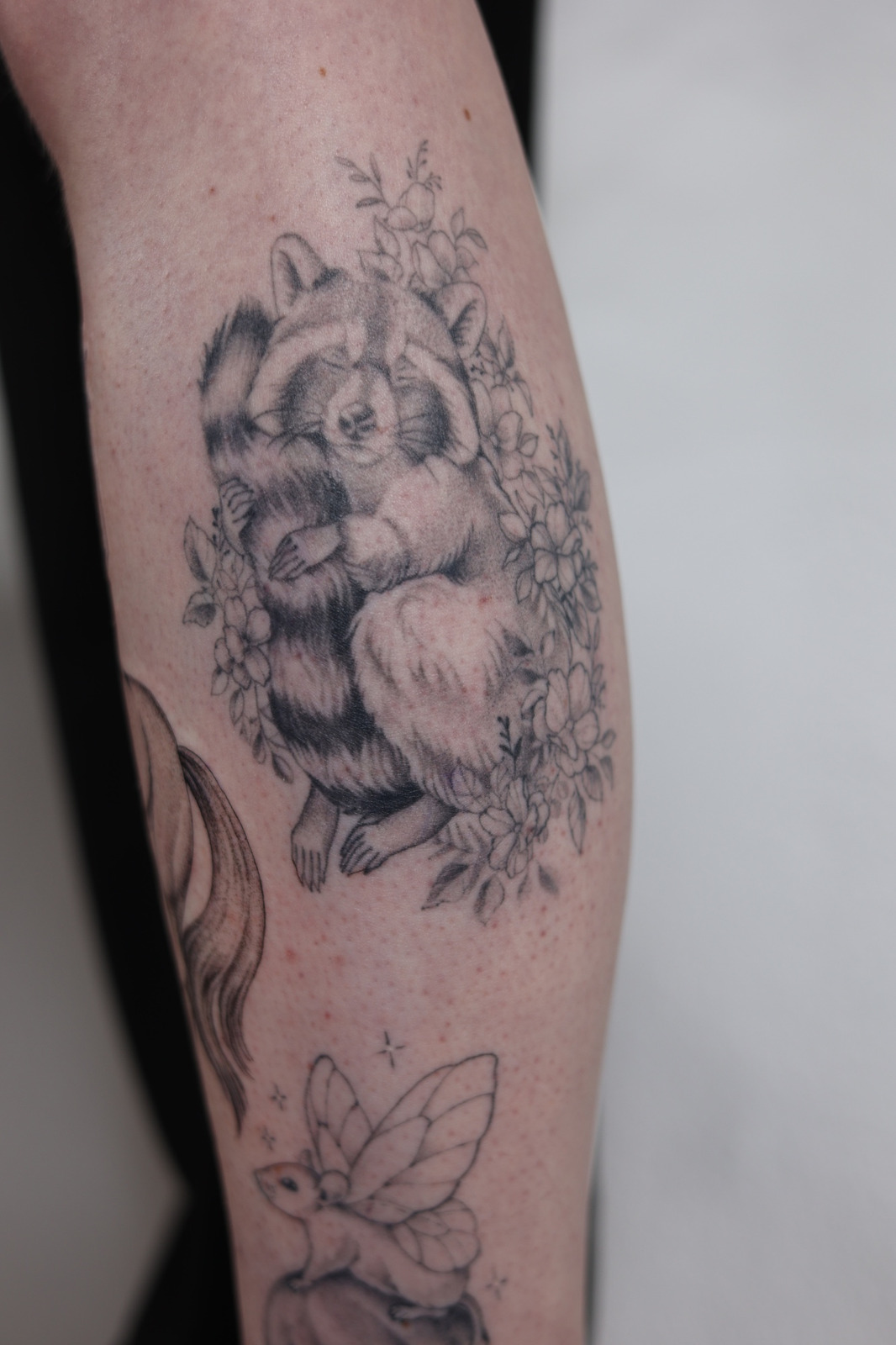 Waschbär Tattoo im Black & Gray Style auf Wade von Patimonstar in Hamburg