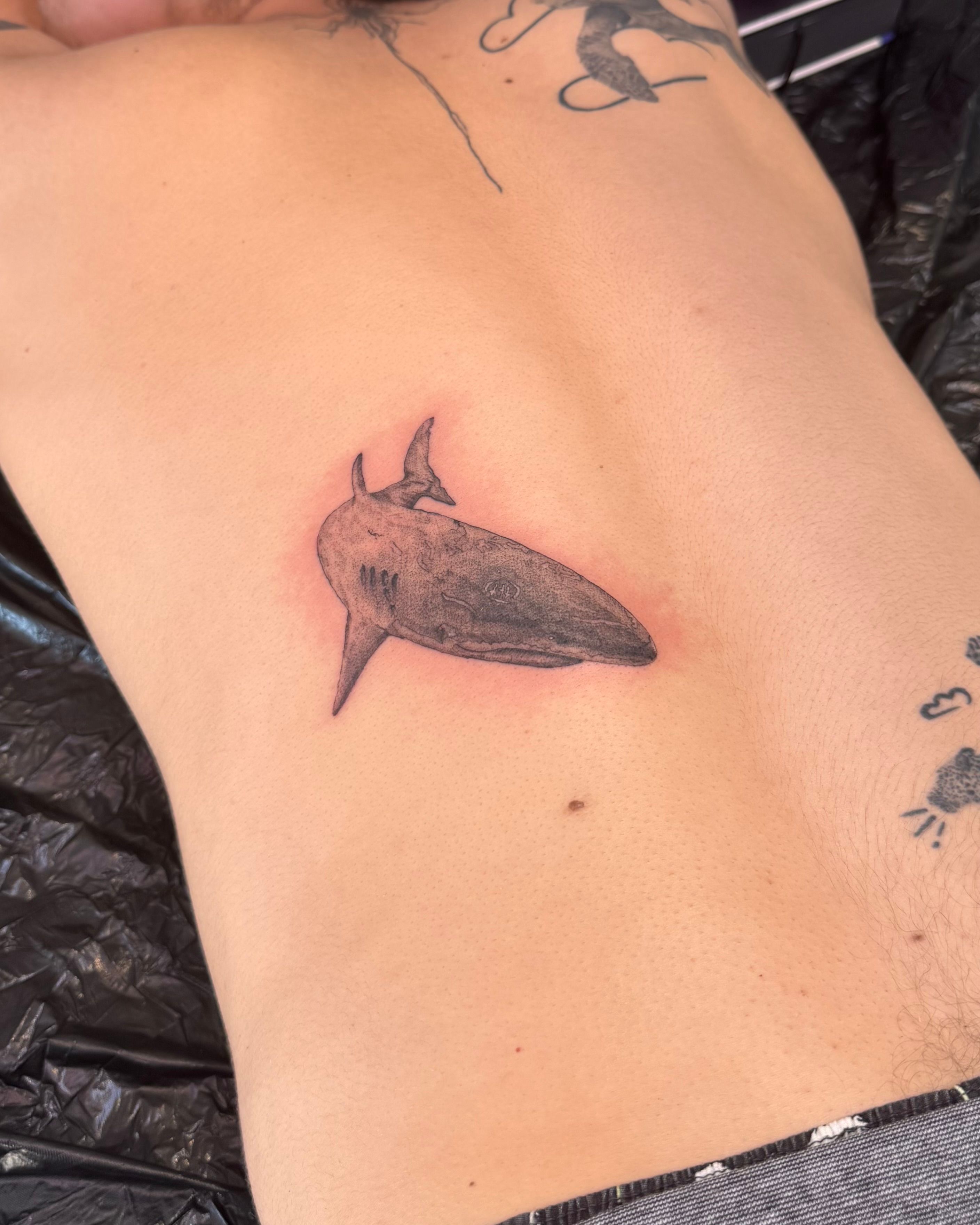 Shark (Rücken) in Microrealistic style on Back by JANINK 79098