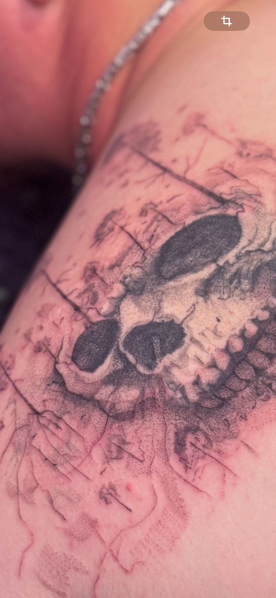 skull W.I.P (Rücken) in Microrealistic style on Back by JANINK 79098