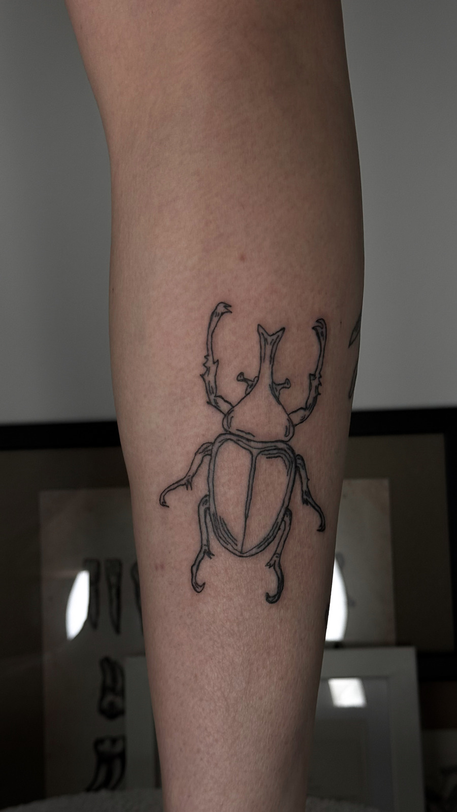 Hirschkäfer im Abstract Style auf Bein von Heartbreaker Tattoo in Hamburg