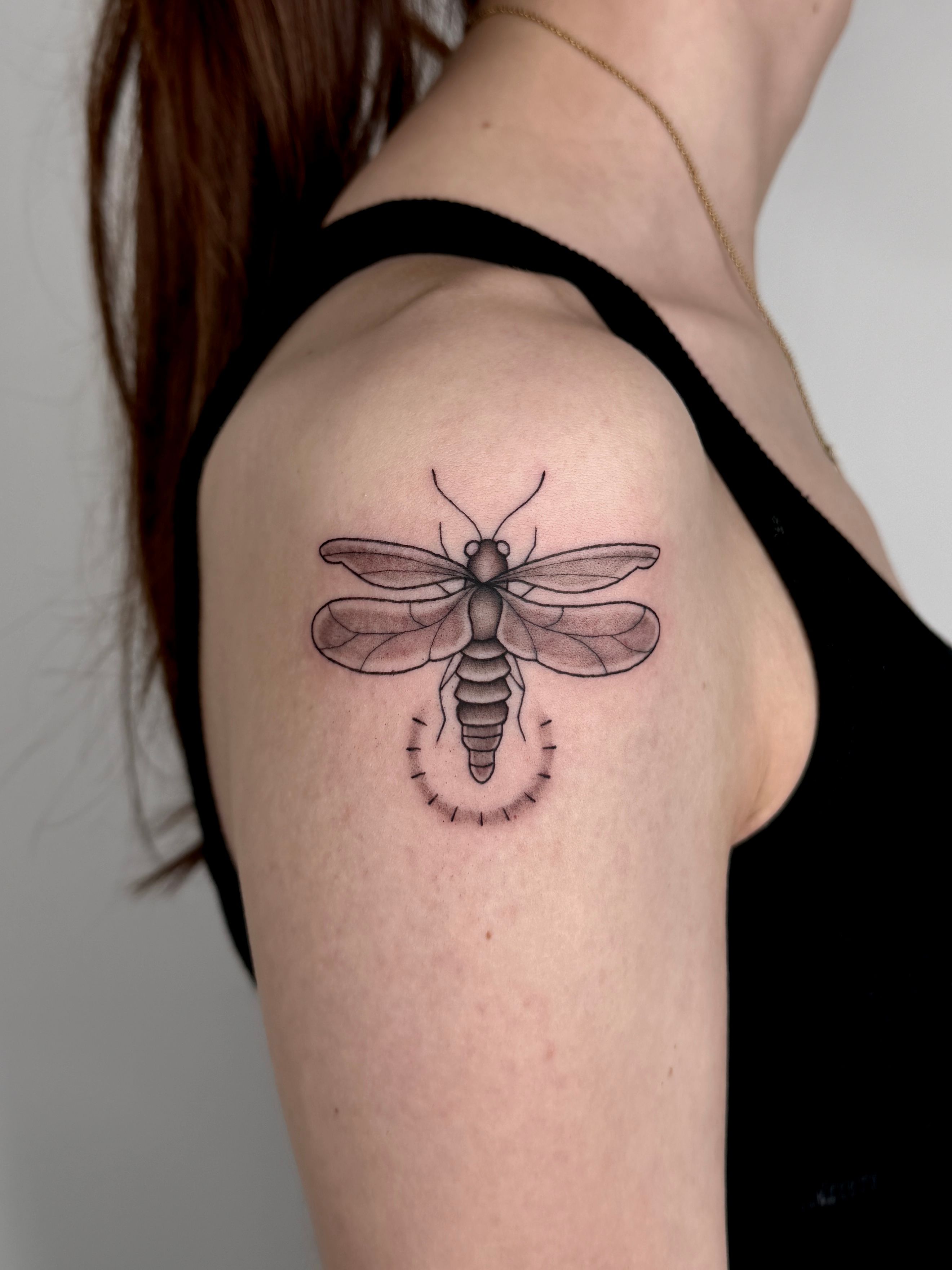 Glühwürmchen Käfer im Fineline Style auf Oberarm von susigrck in Leipzig