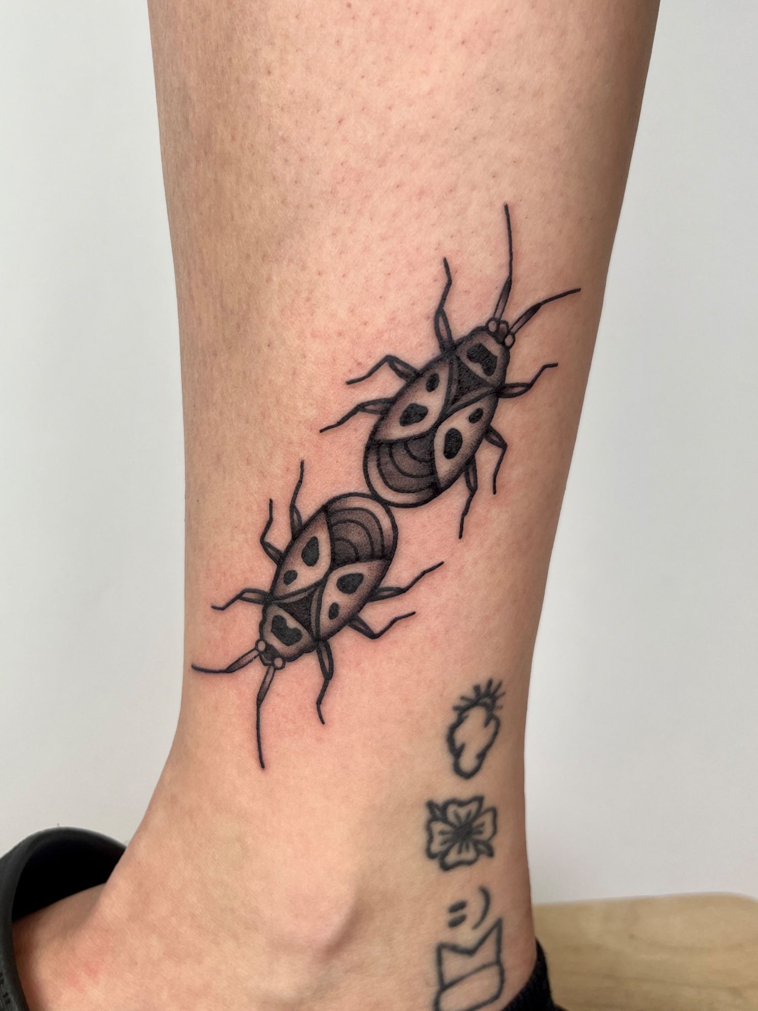 Feuerkäfer Käfer im Illustrative Style auf Bein von susigrck in Leipzig