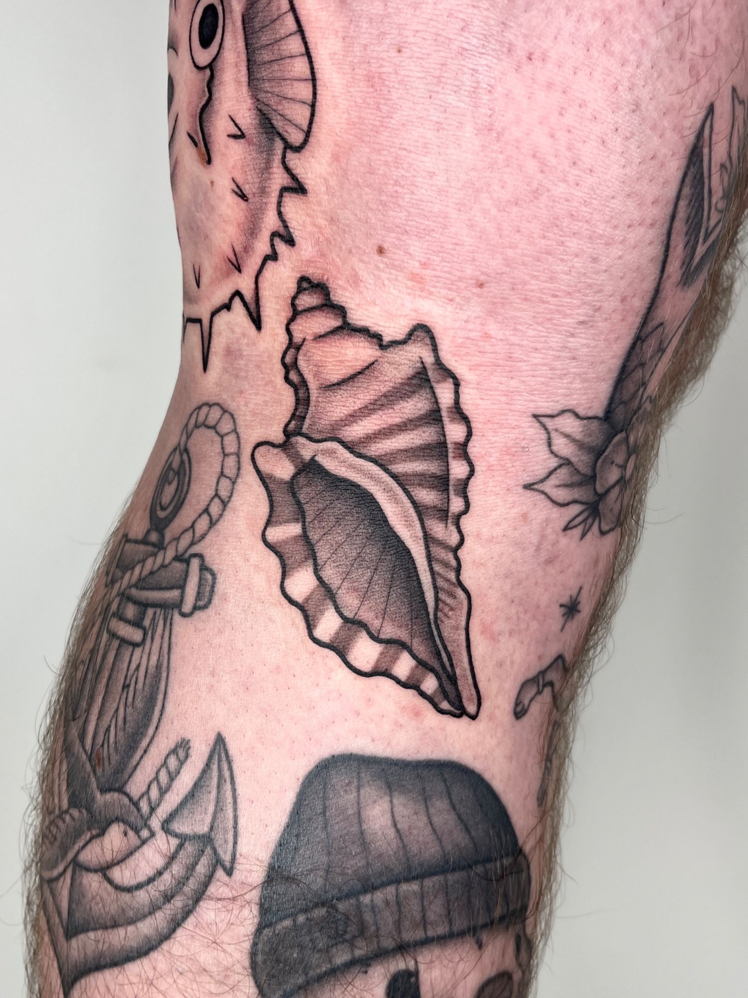 Muschel im Illustrative Style auf Bein von susigrck in Leipzig