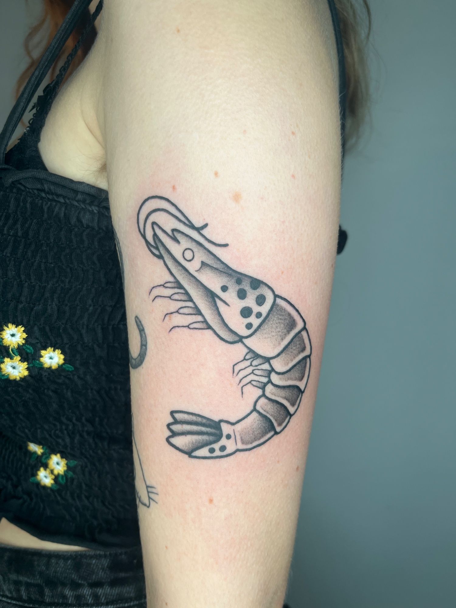 Shrimp im Illustrative Style auf Oberarm von susigrck in Leipzig