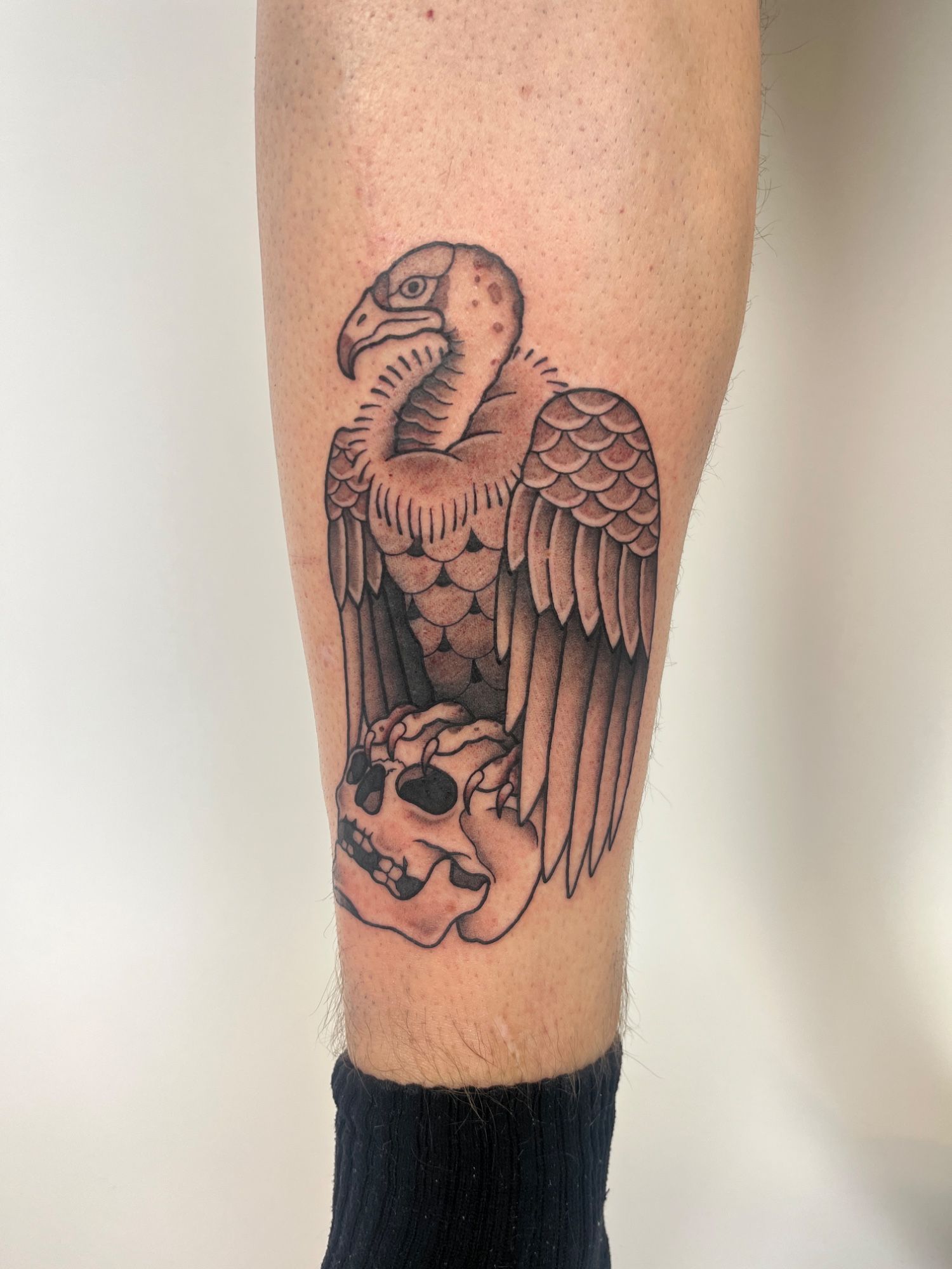 Totenkopf Schädel Geier Vogel im Illustrative Style auf Bein von susigrck in Leipzig