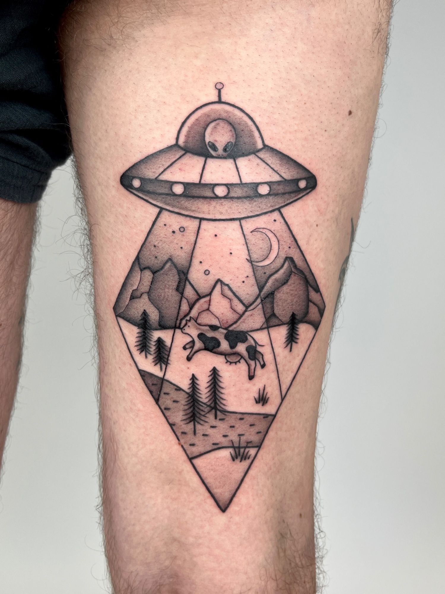 UFO Kuh im Illustrative Style auf Bein von susigrck in Leipzig