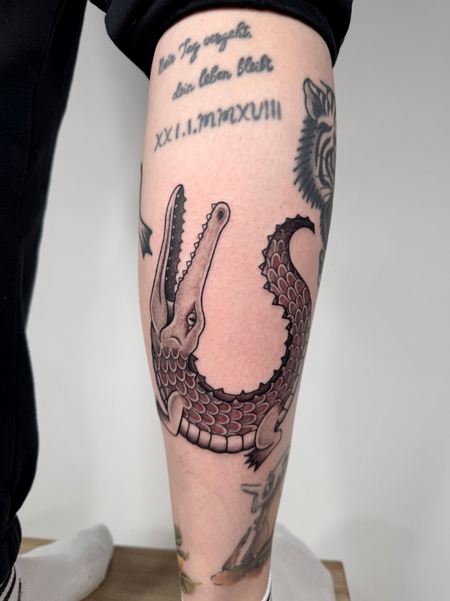 Krokodil im Oldschool, Traditional Style auf Bein von susigrck in Leipzig