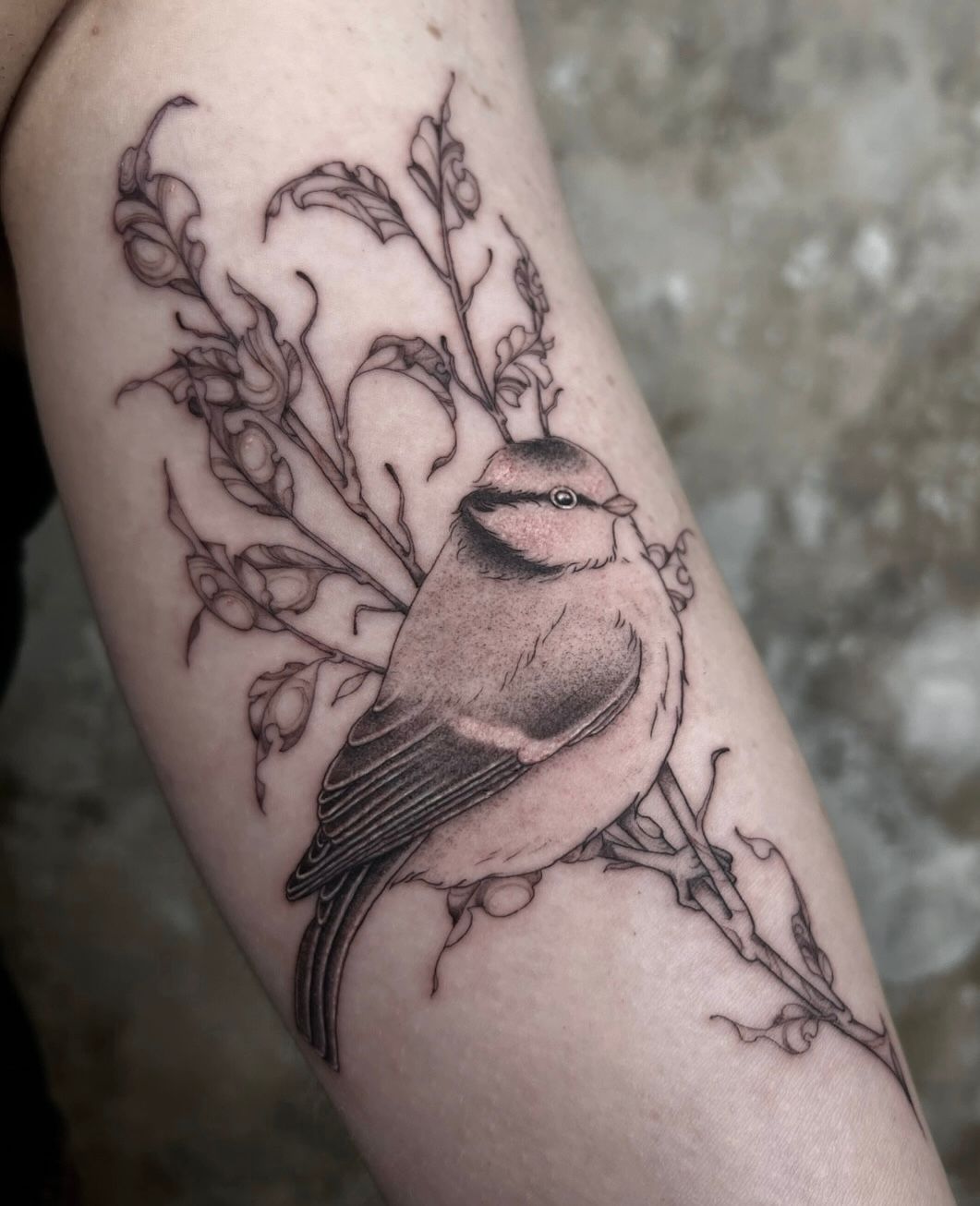 Blaumeise mit Ast auf dem Oberarm im Botanical, Floral Style von Morwen in 49074