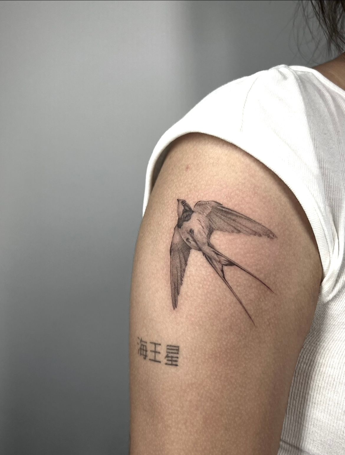 Schwalbe auf dem Oberarm im Microrealistic Style von Morwen in 49074