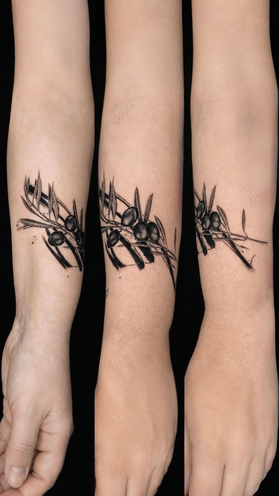 Olivenzweig in Black & Gray style on Forearm by Won Ink Hamburg