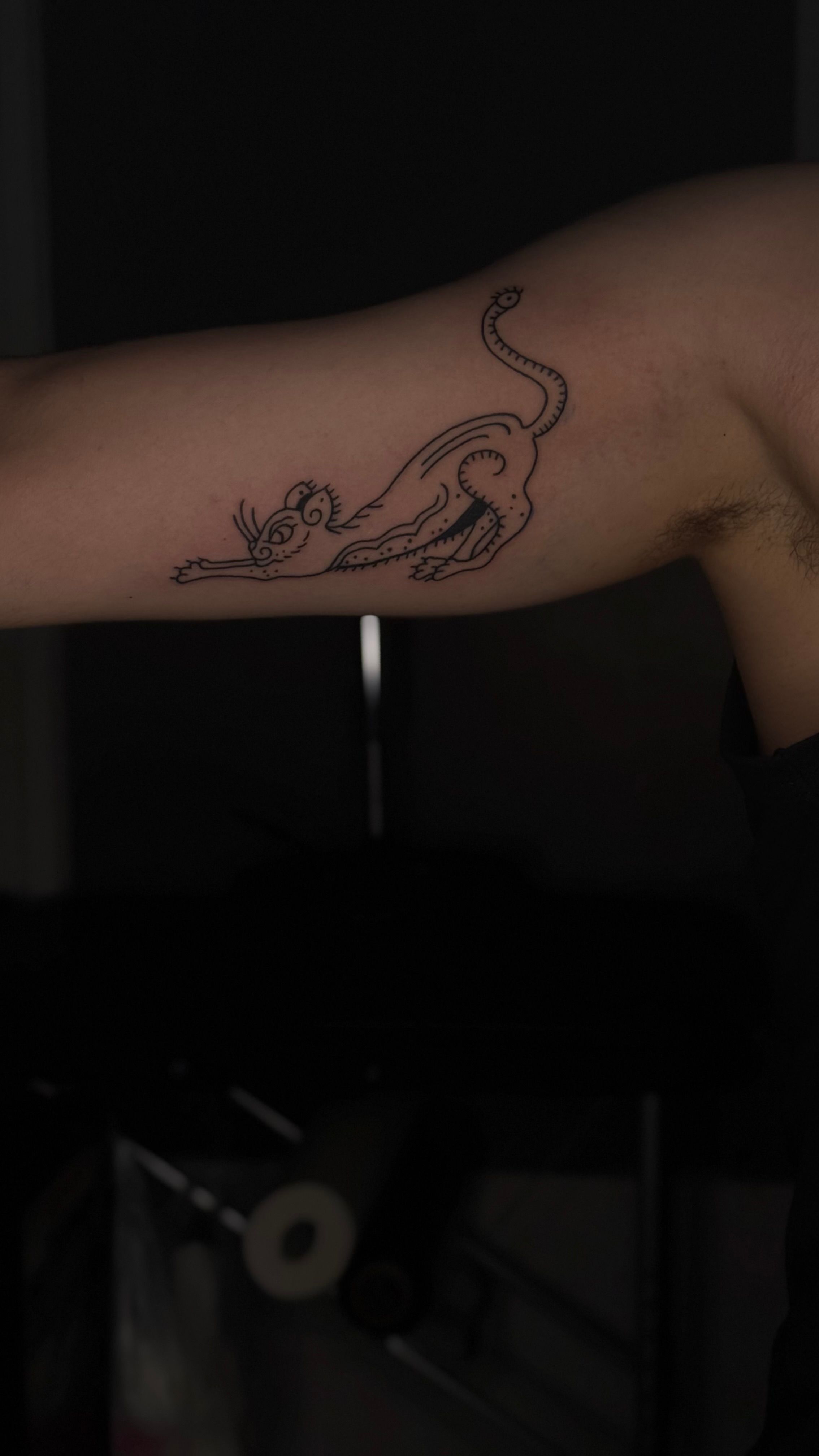 ornamental cat im Style auf Oberarm von debo.studio in Freiburg Breisgau