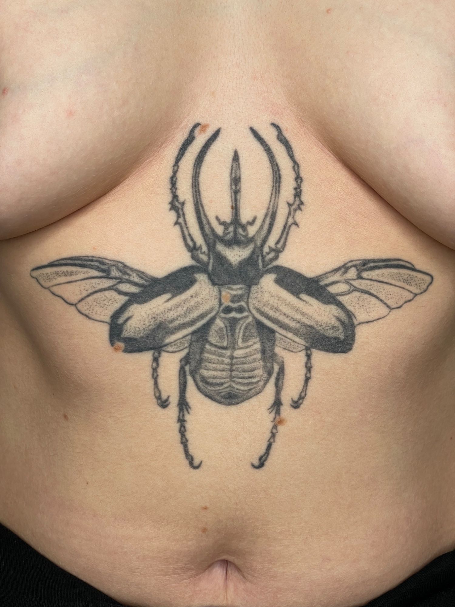 Atlaskäfer Bauch in Blackwork style on Stomach by Pretty Bold Hamburg