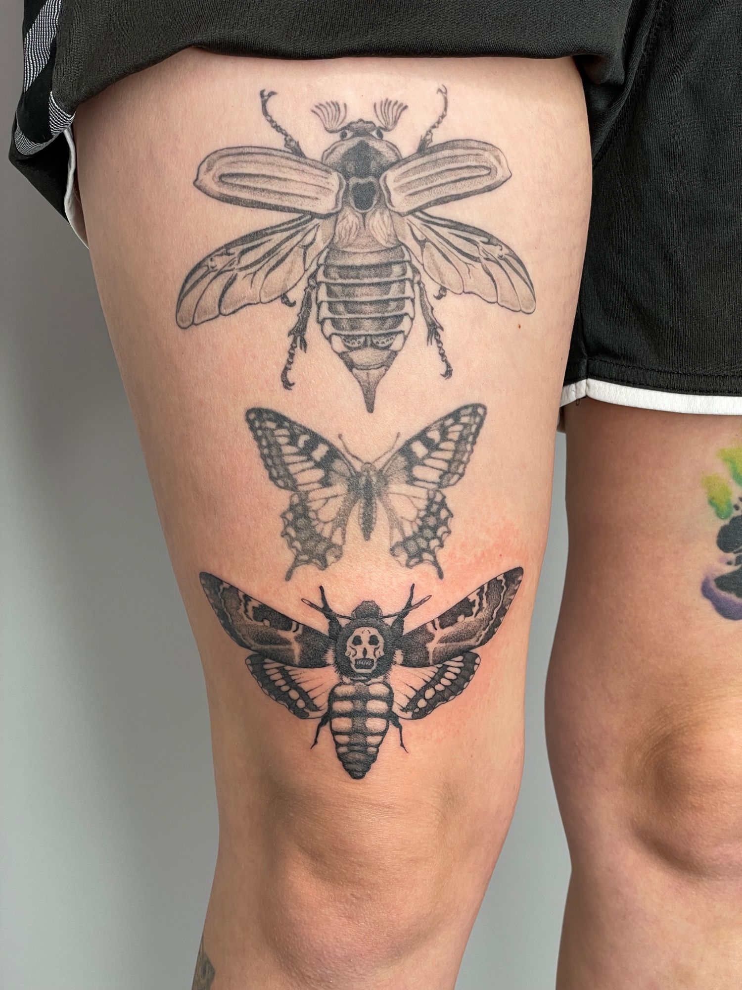 diverse Insekten Oberschenkel in Blackwork style on Thigh by Pretty Bold Hamburg