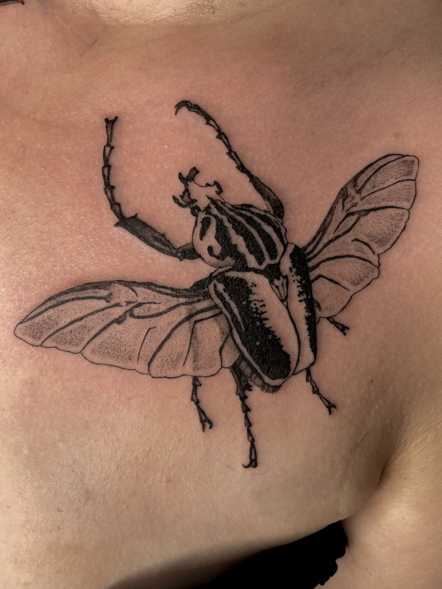 Goliathkäfer Brust/Schulter in Blackwork style on Chest by Pretty Bold Hamburg