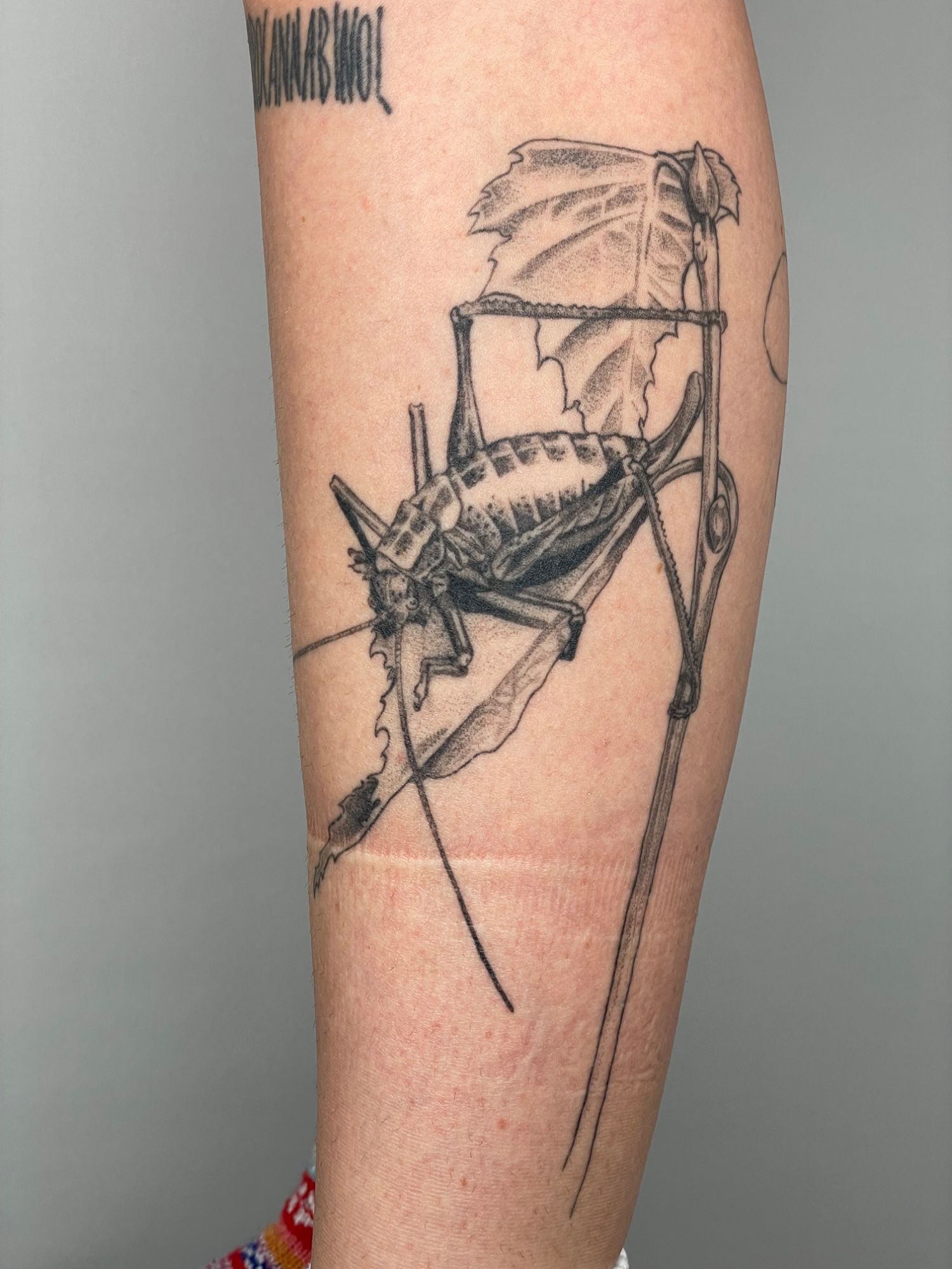 Heimchen Unterschenkel im Blackwork Style auf Schienbein von Pretty Bold in Hamburg