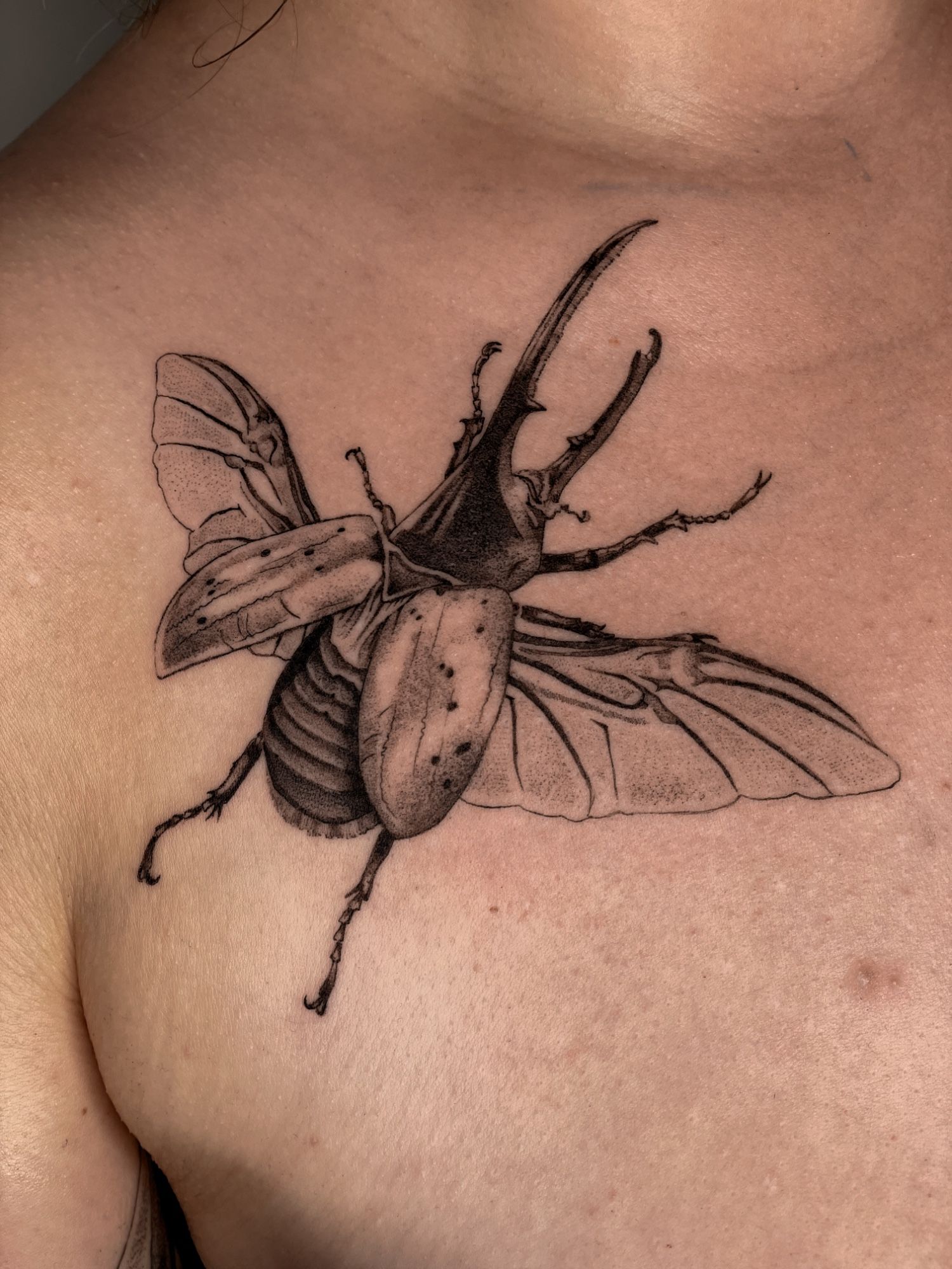 Herkuleskäfer Brust/Schulter in Blackwork style on Chest by Pretty Bold Hamburg