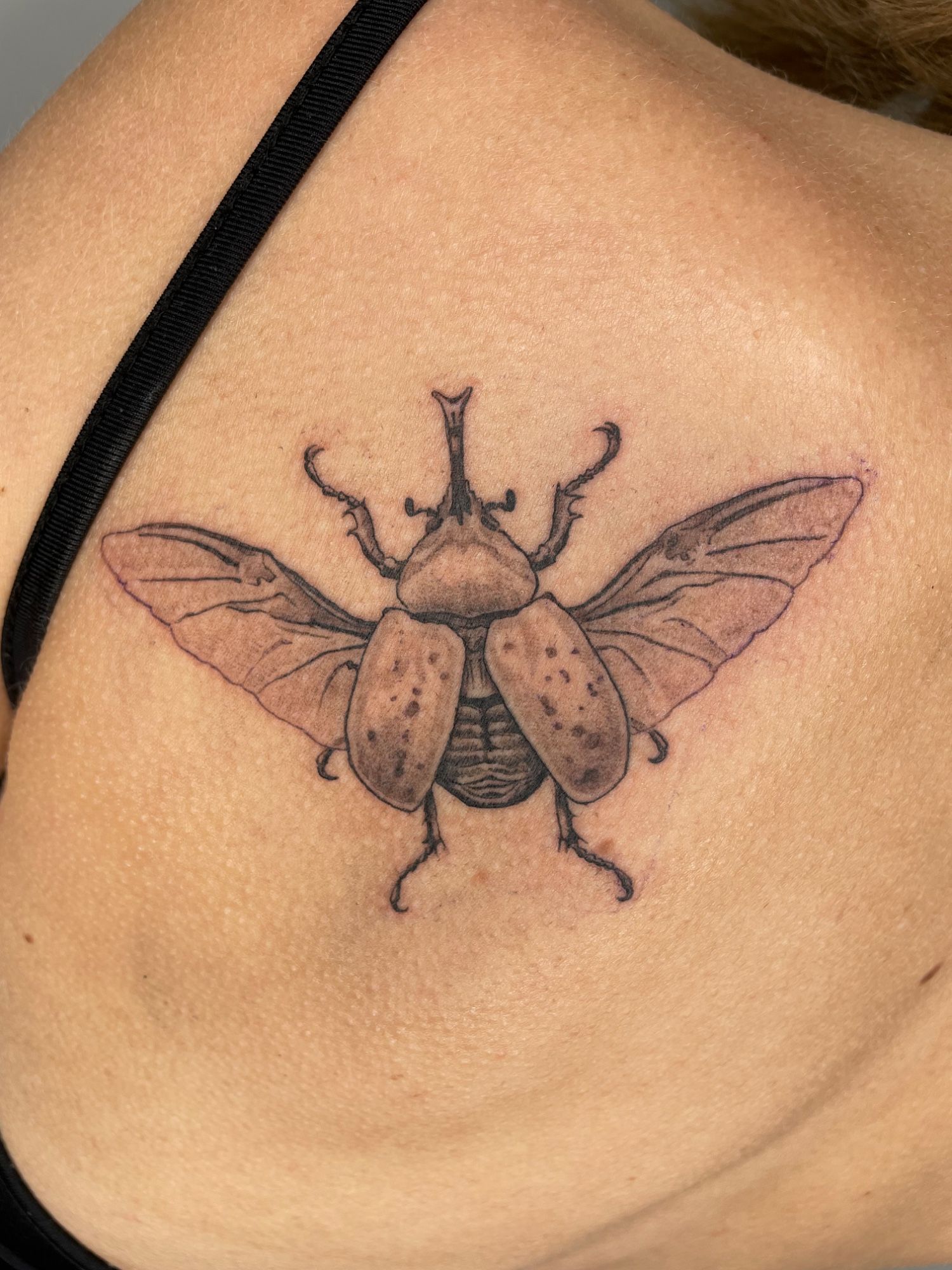 Käfer Schulterblatt im Blackwork Style auf von Pretty Bold in Hamburg